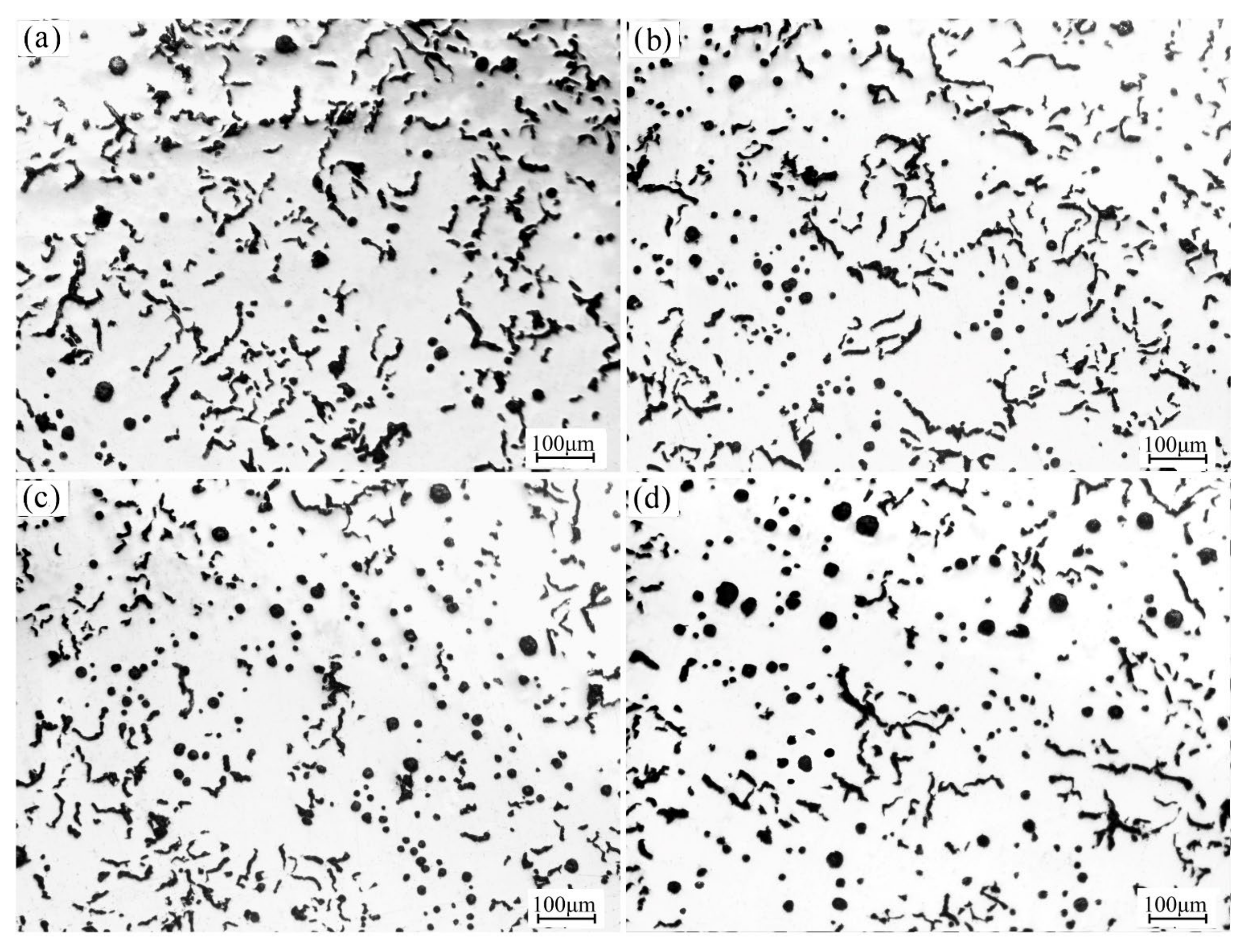 Metals 13 00302 g008