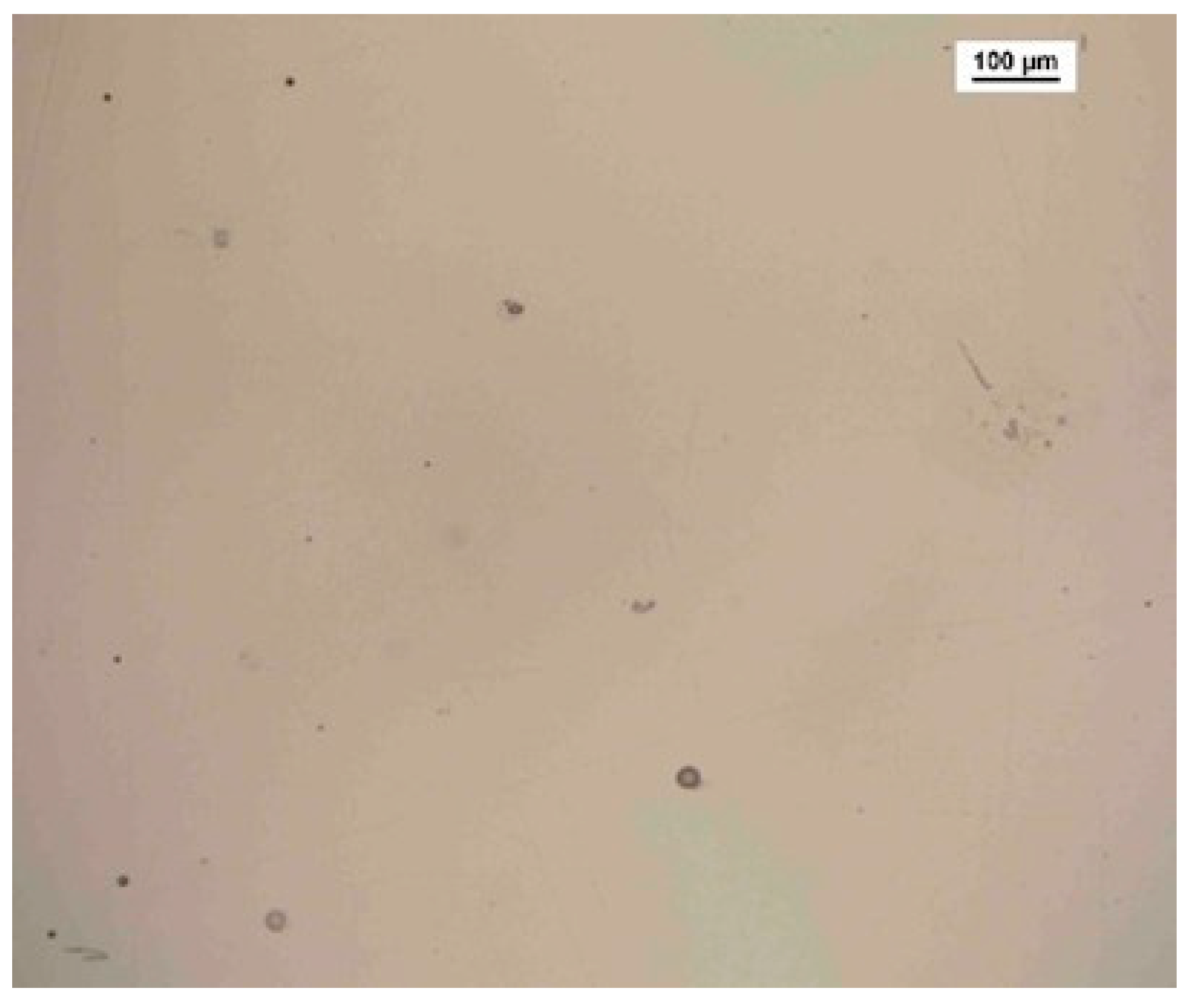 Metals 13 00306 g007