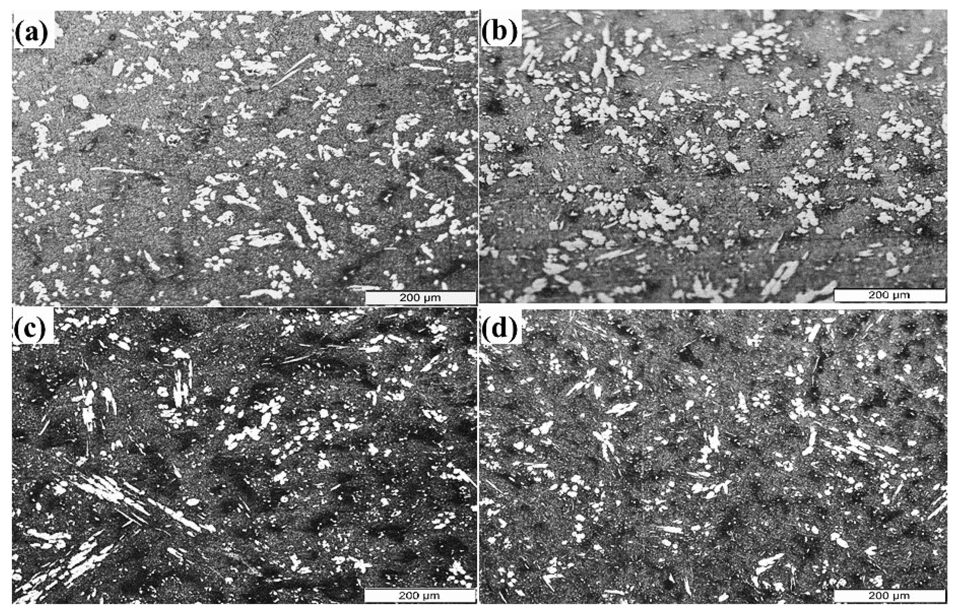 Metals 13 00324 g006