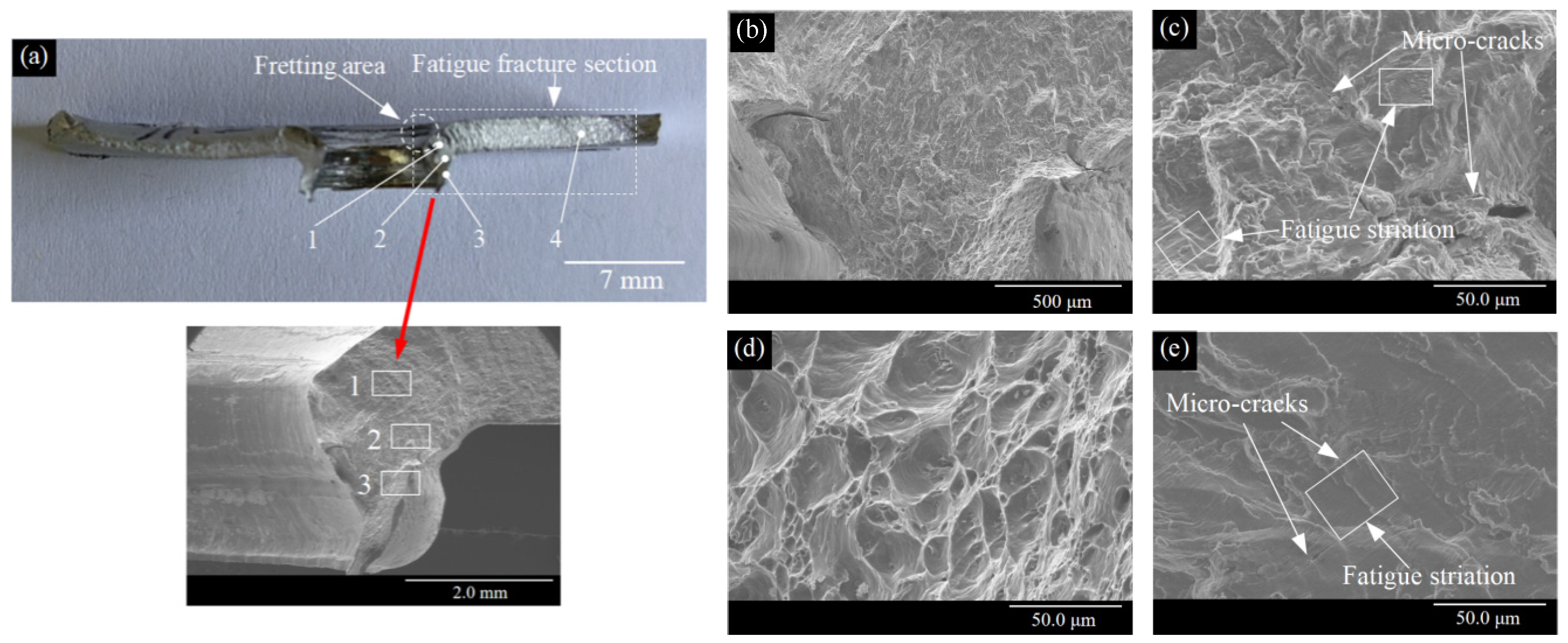 Metals 13 00328 g014