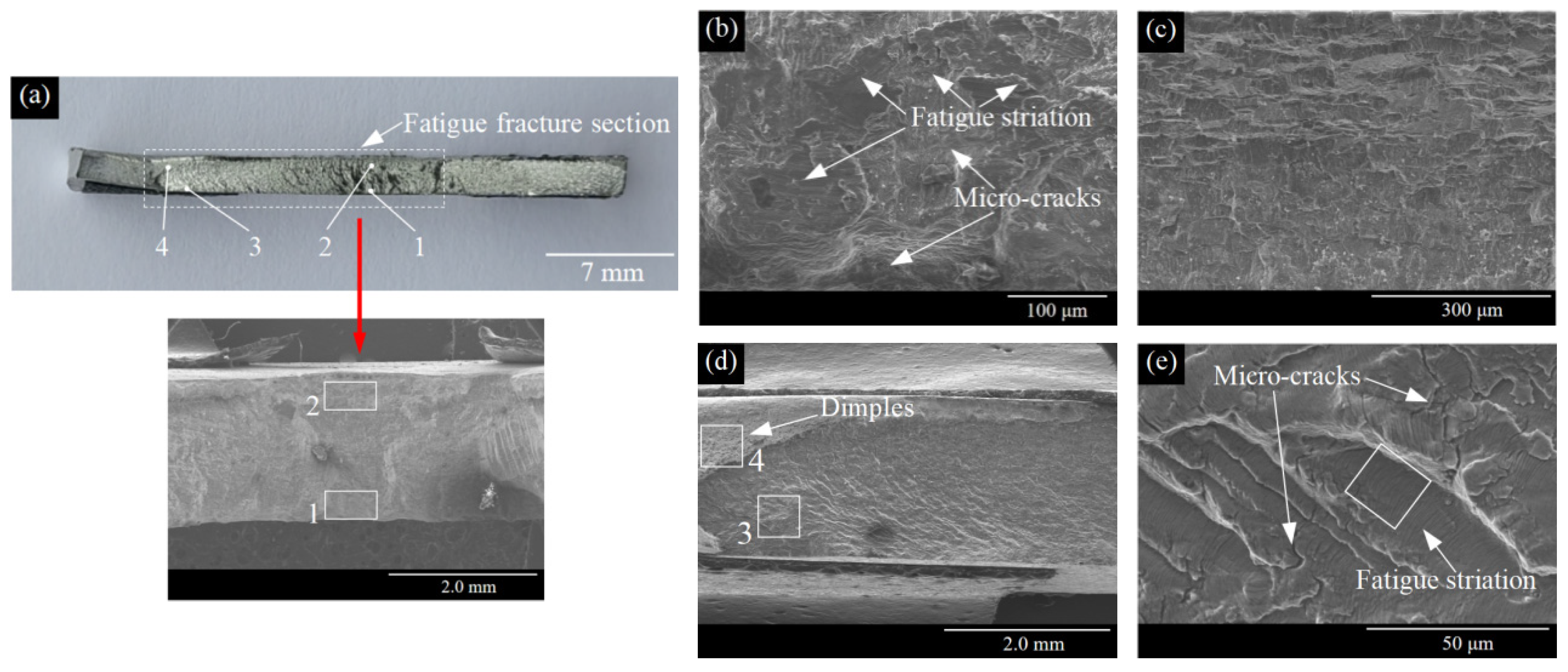 Metals 13 00328 g015