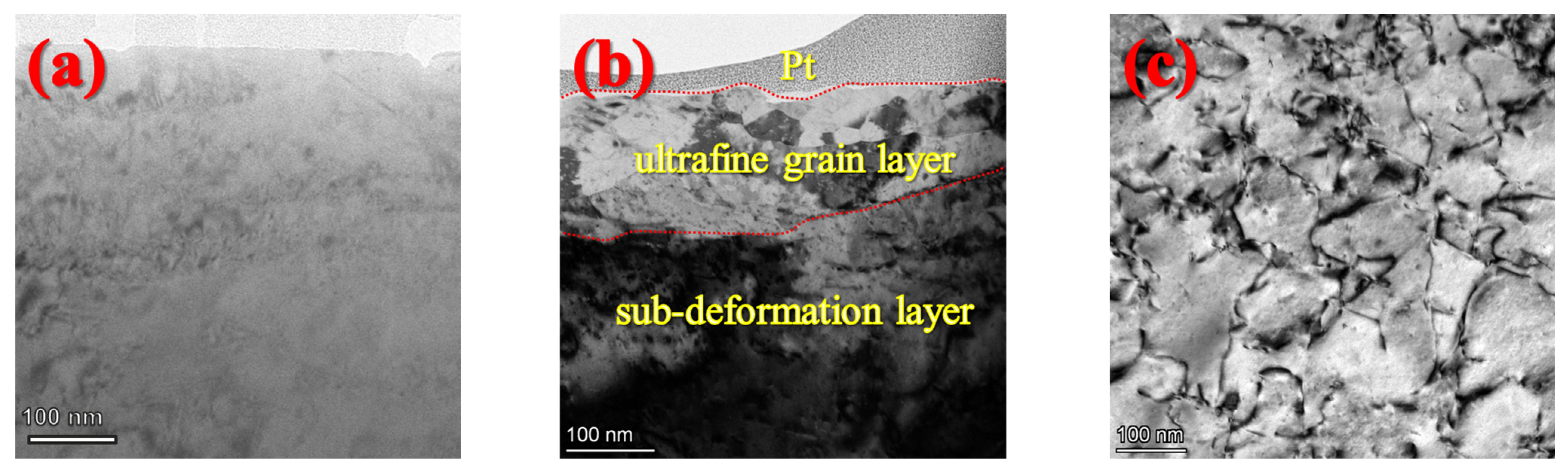 Metals 13 00336 g001