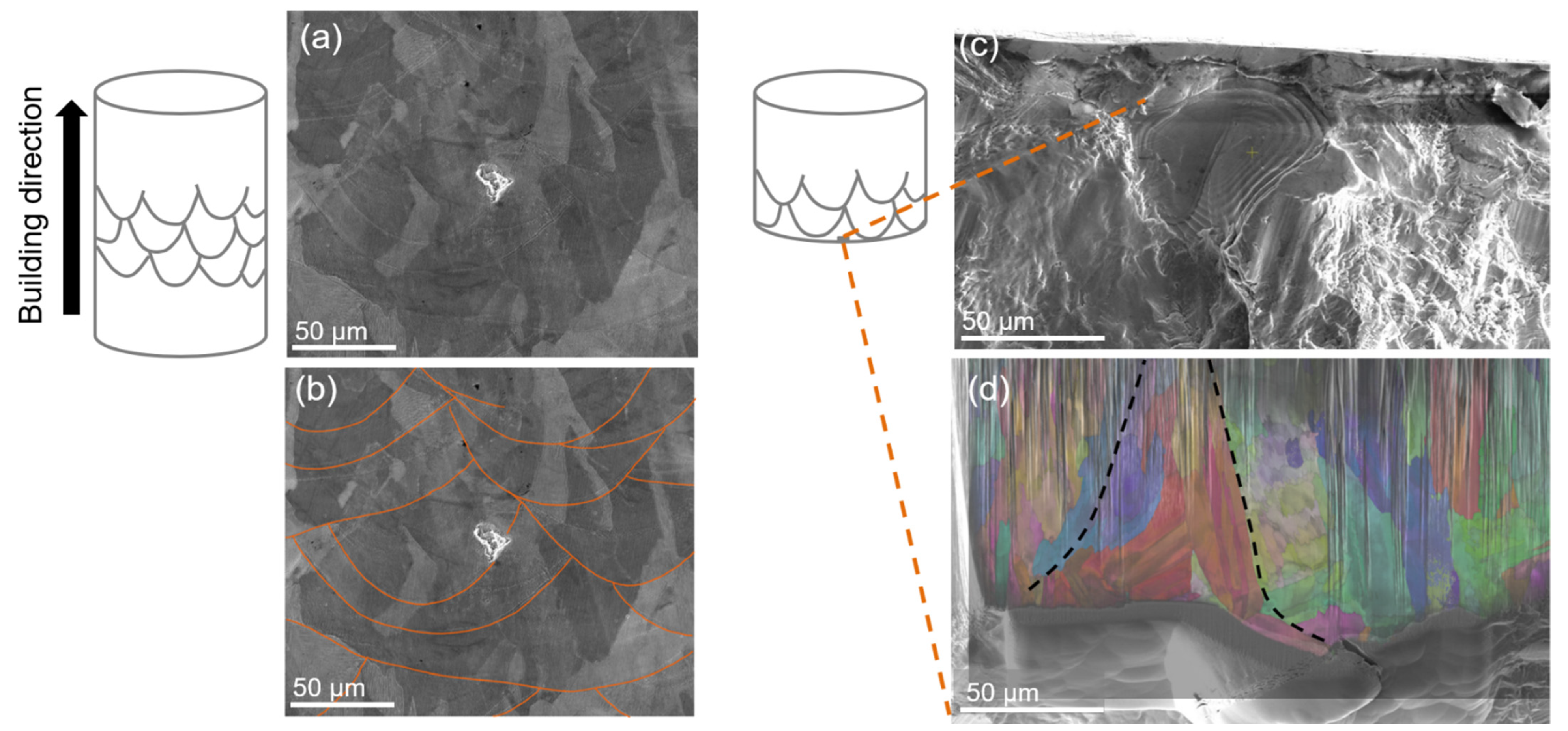 Metals 13 00342 g002
