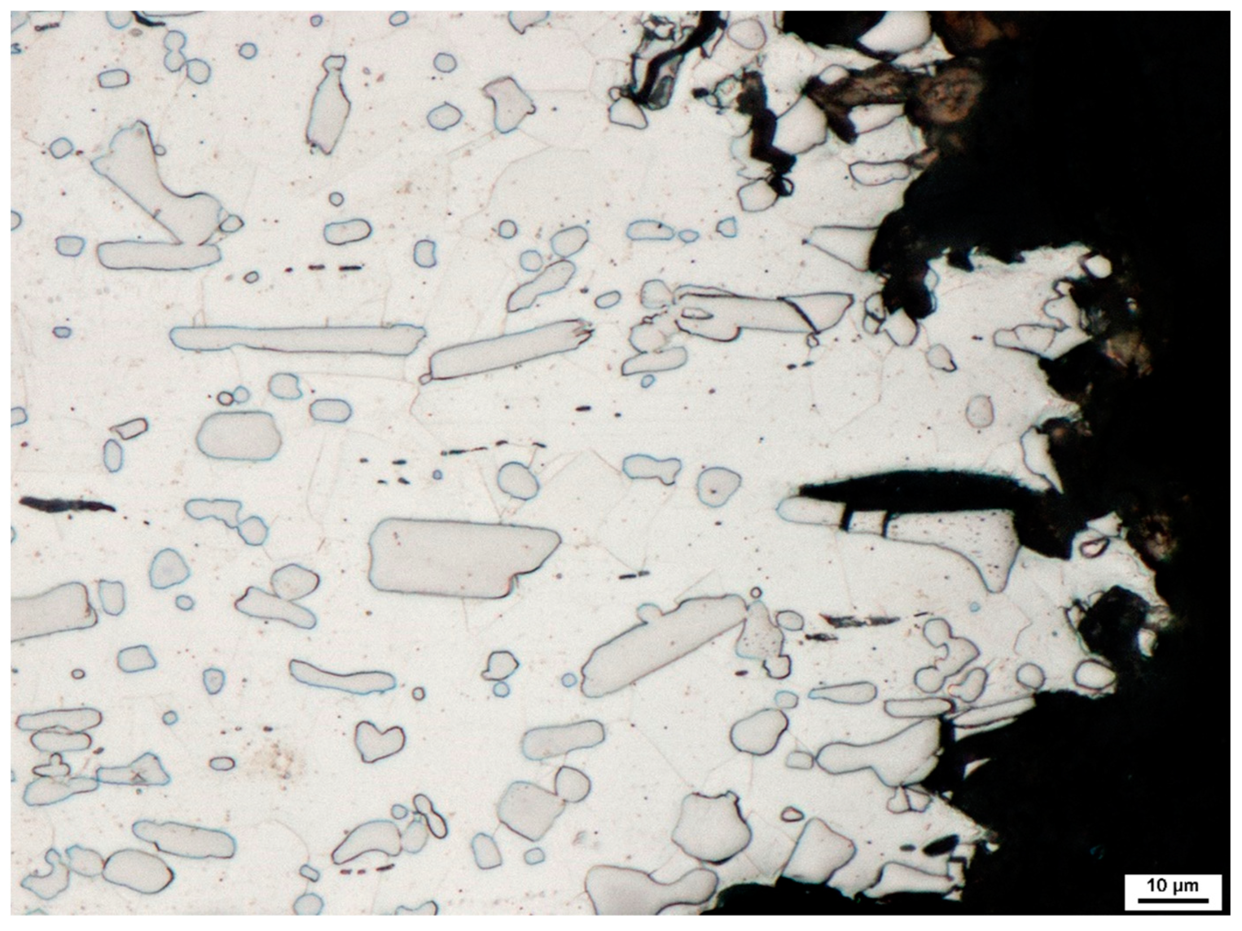 Metals 13 00348 g013