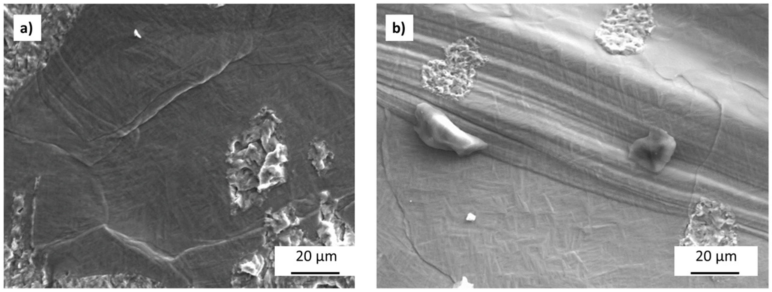 Metals 13 00350 g007