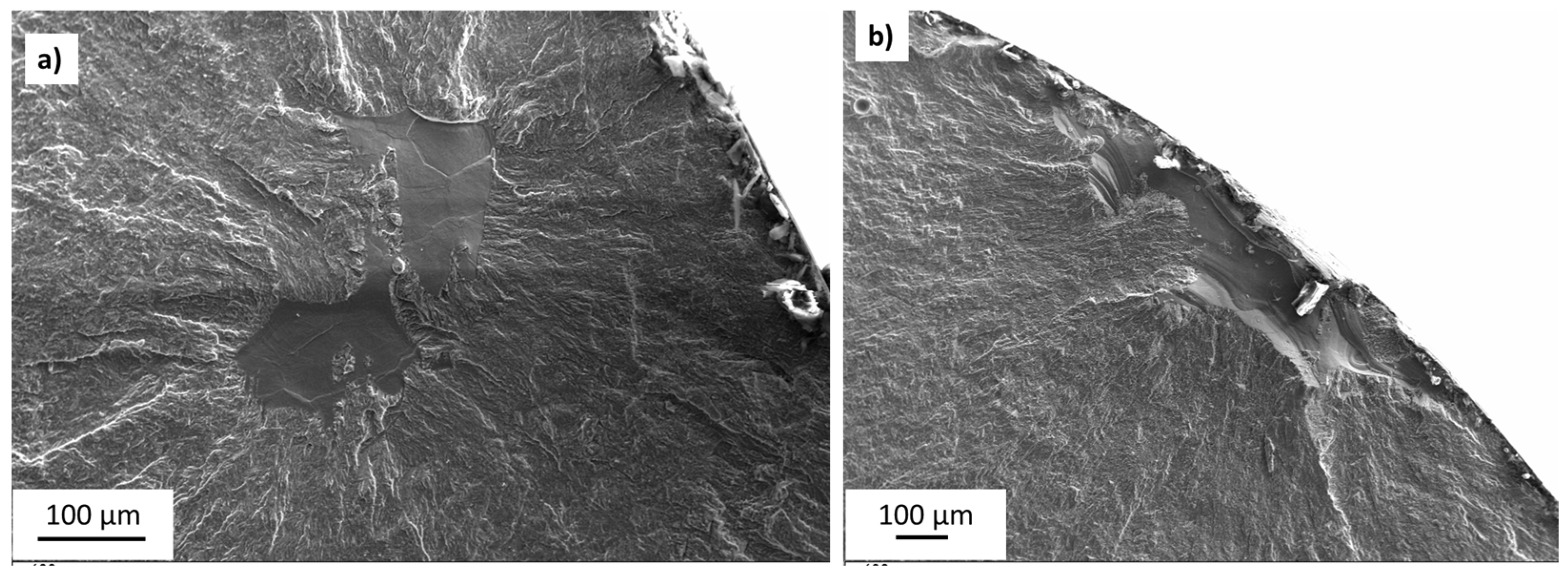 Metals 13 00350 g010
