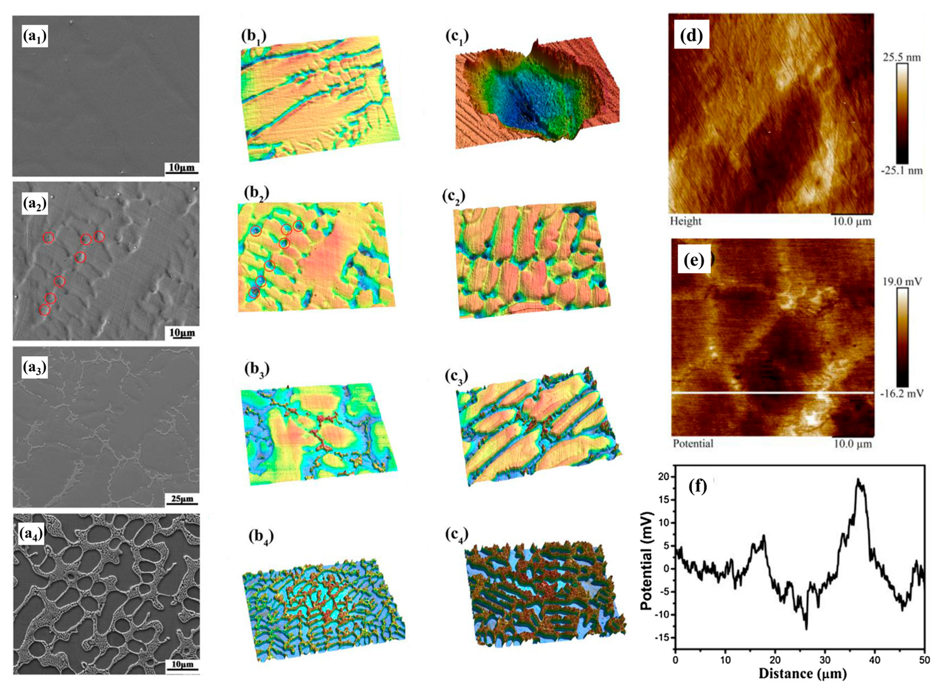 Metals 13 00363 g010