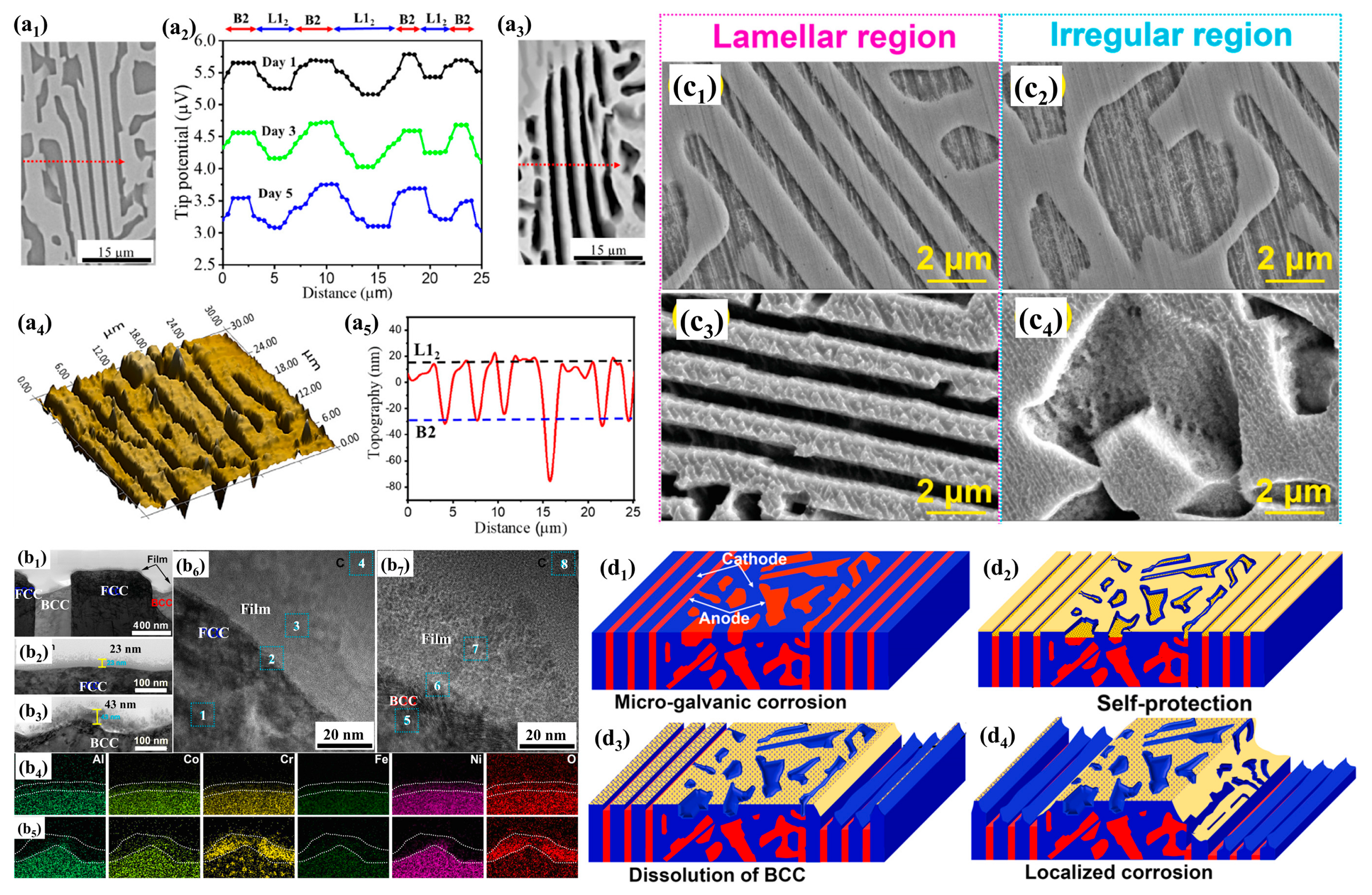 Metals 13 00363 g011