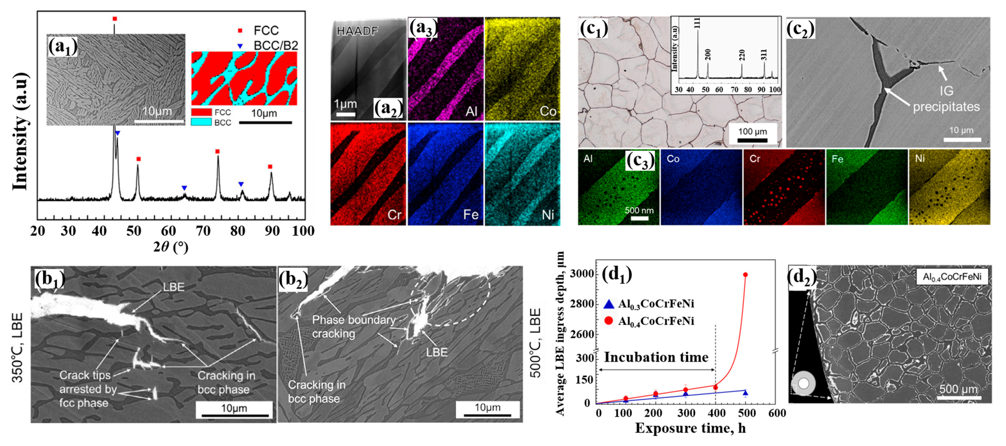 Metals 13 00363 g013