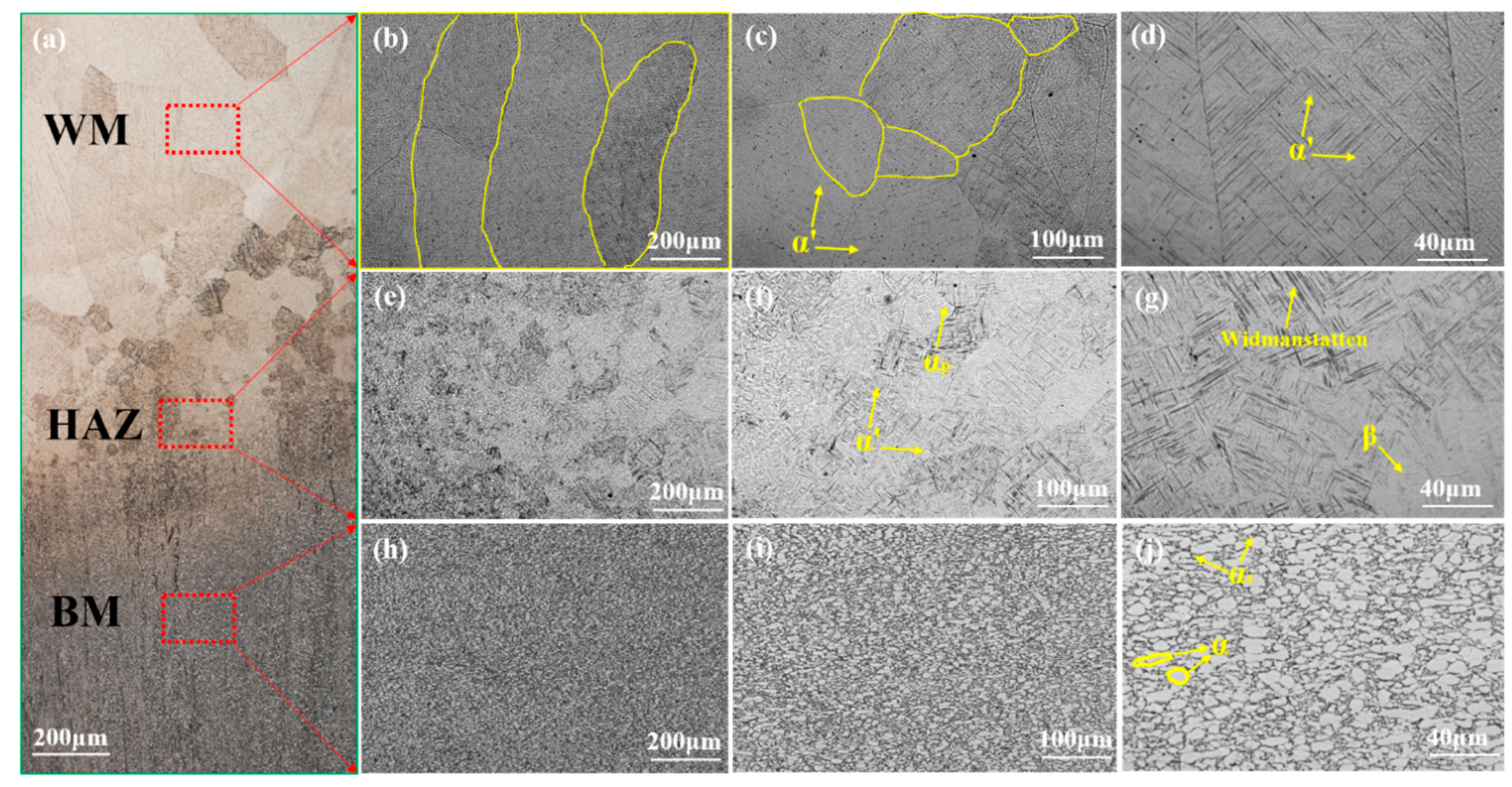 Metals 13 00369 g003