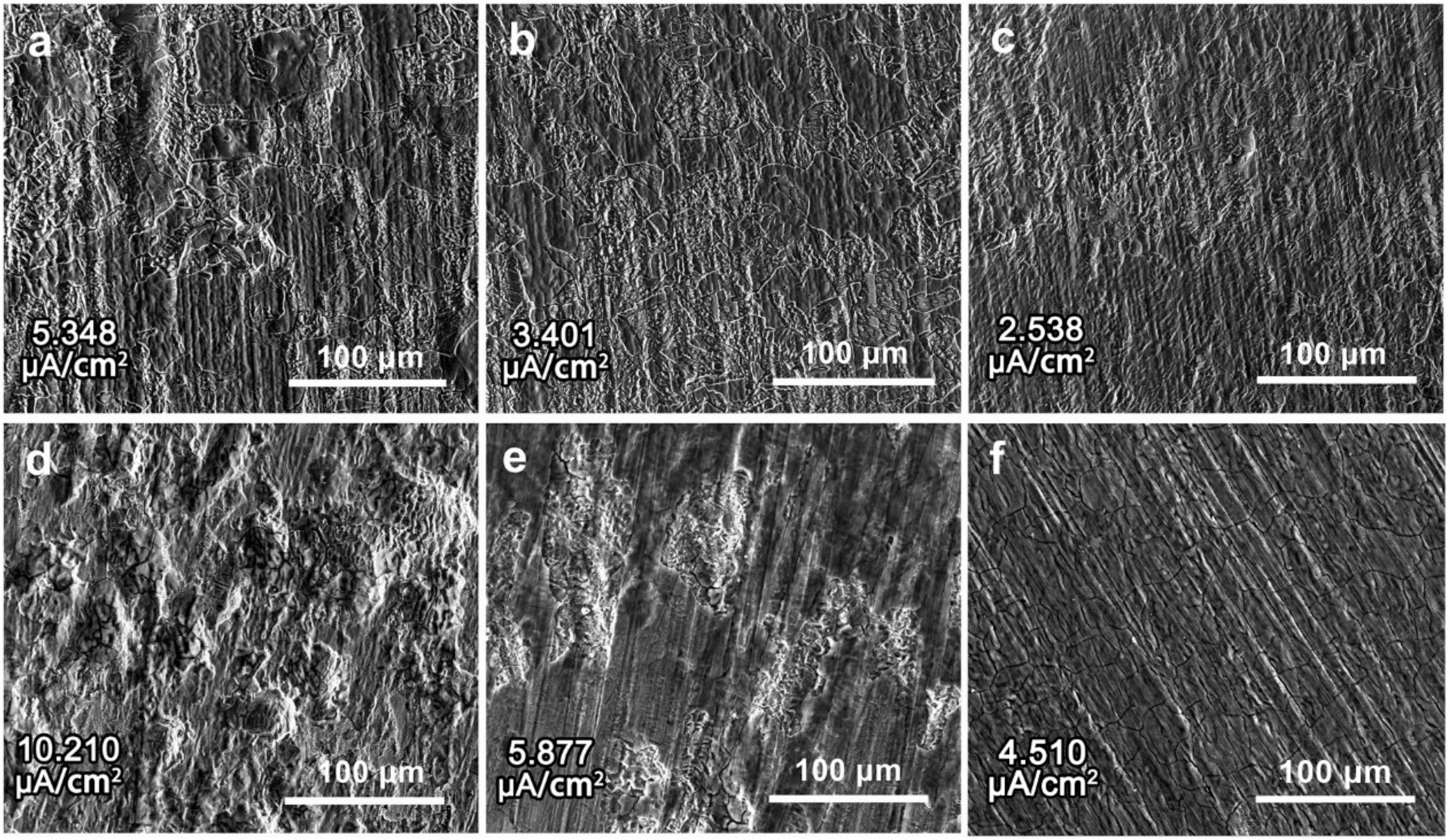 Metals 13 00380 g010