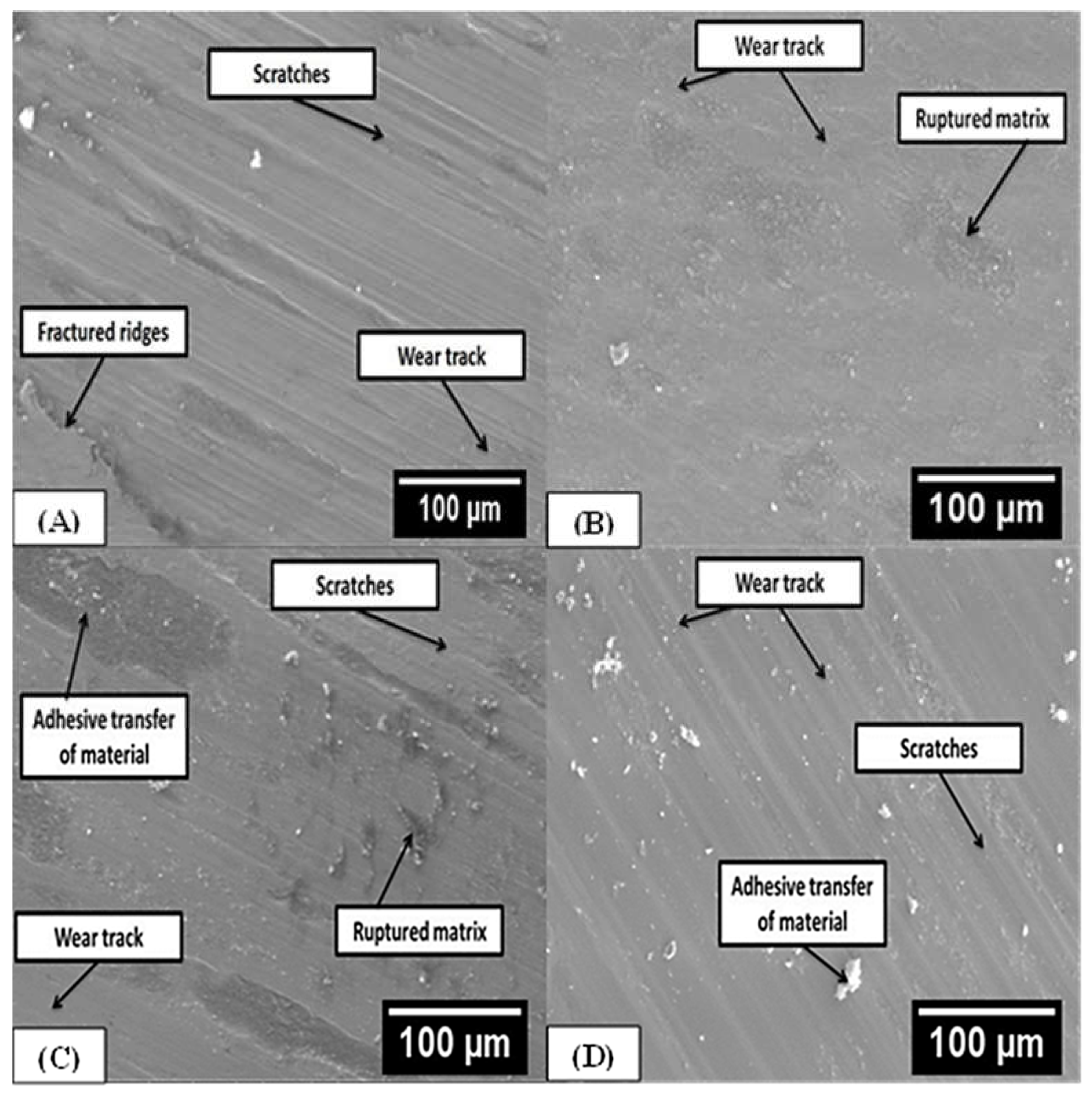 Metals 13 00382 g014