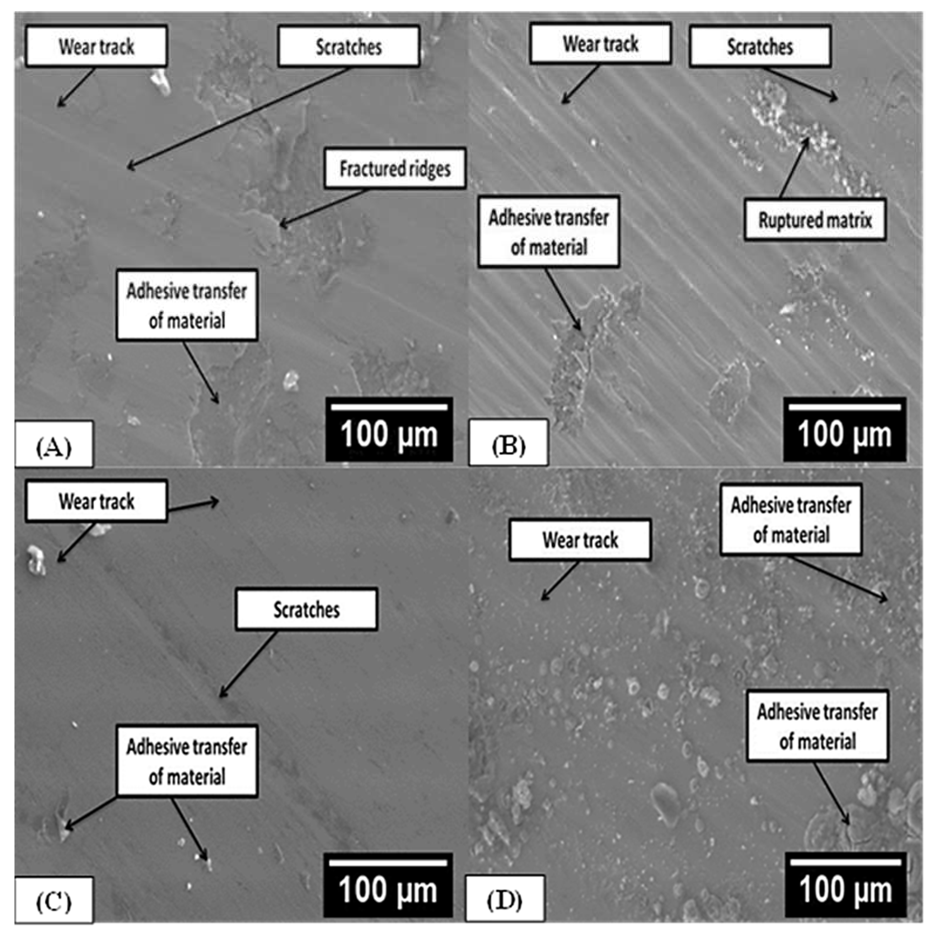 Metals 13 00382 g015