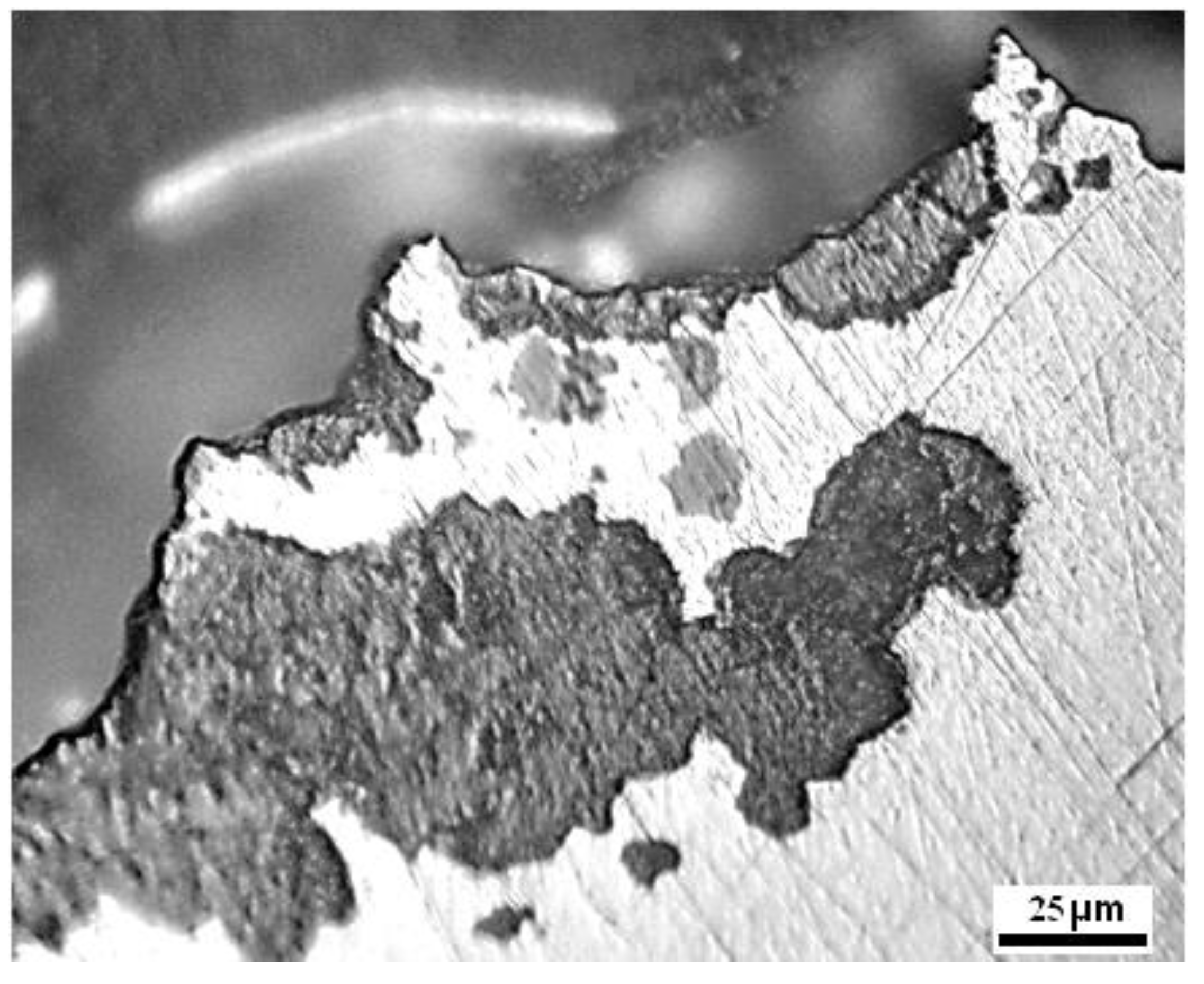 Metals 13 00387 g007