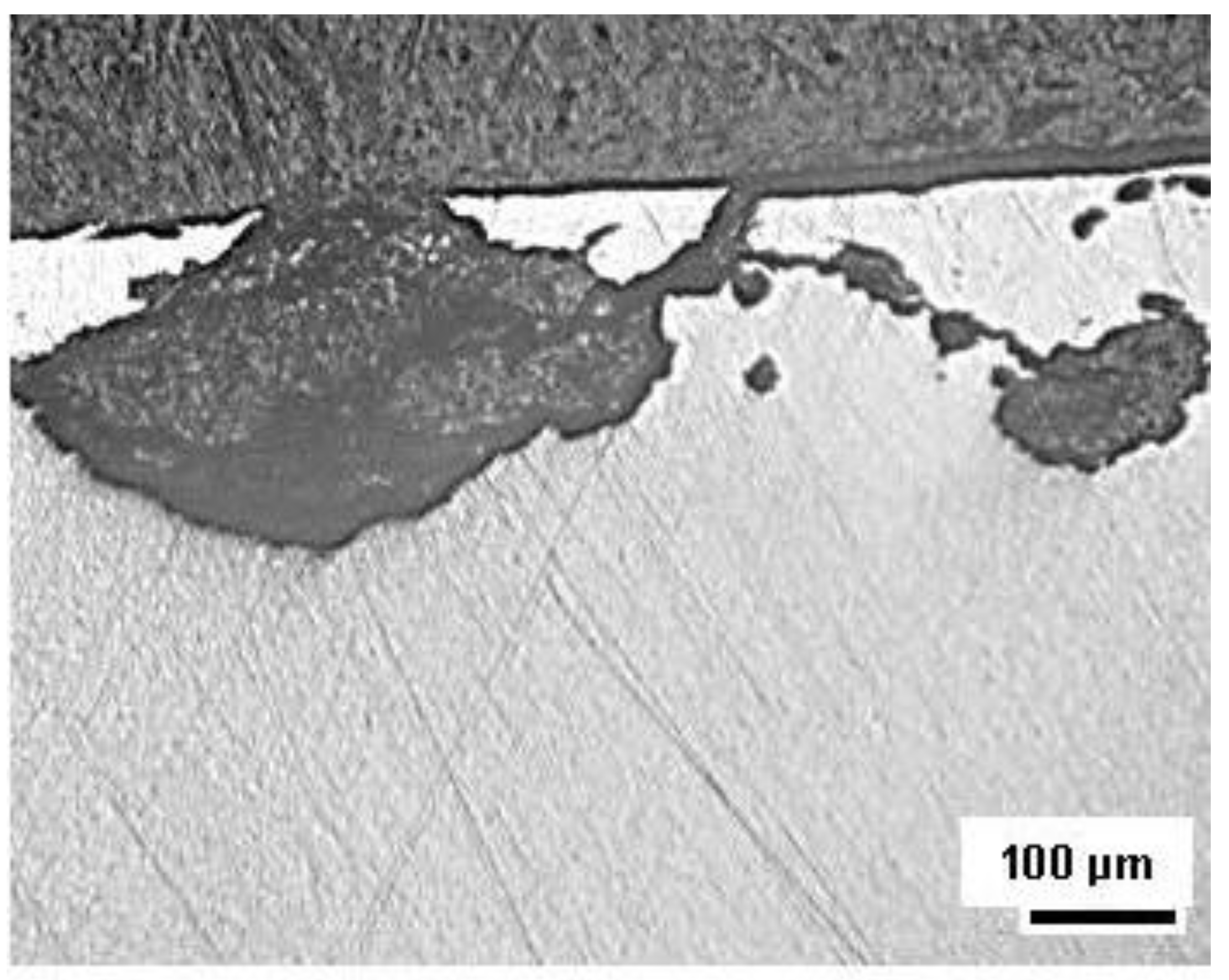 Metals 13 00387 g009