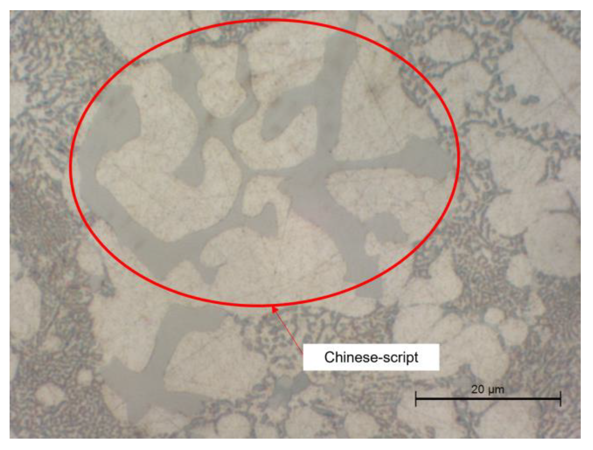 Metals 13 00389 g007