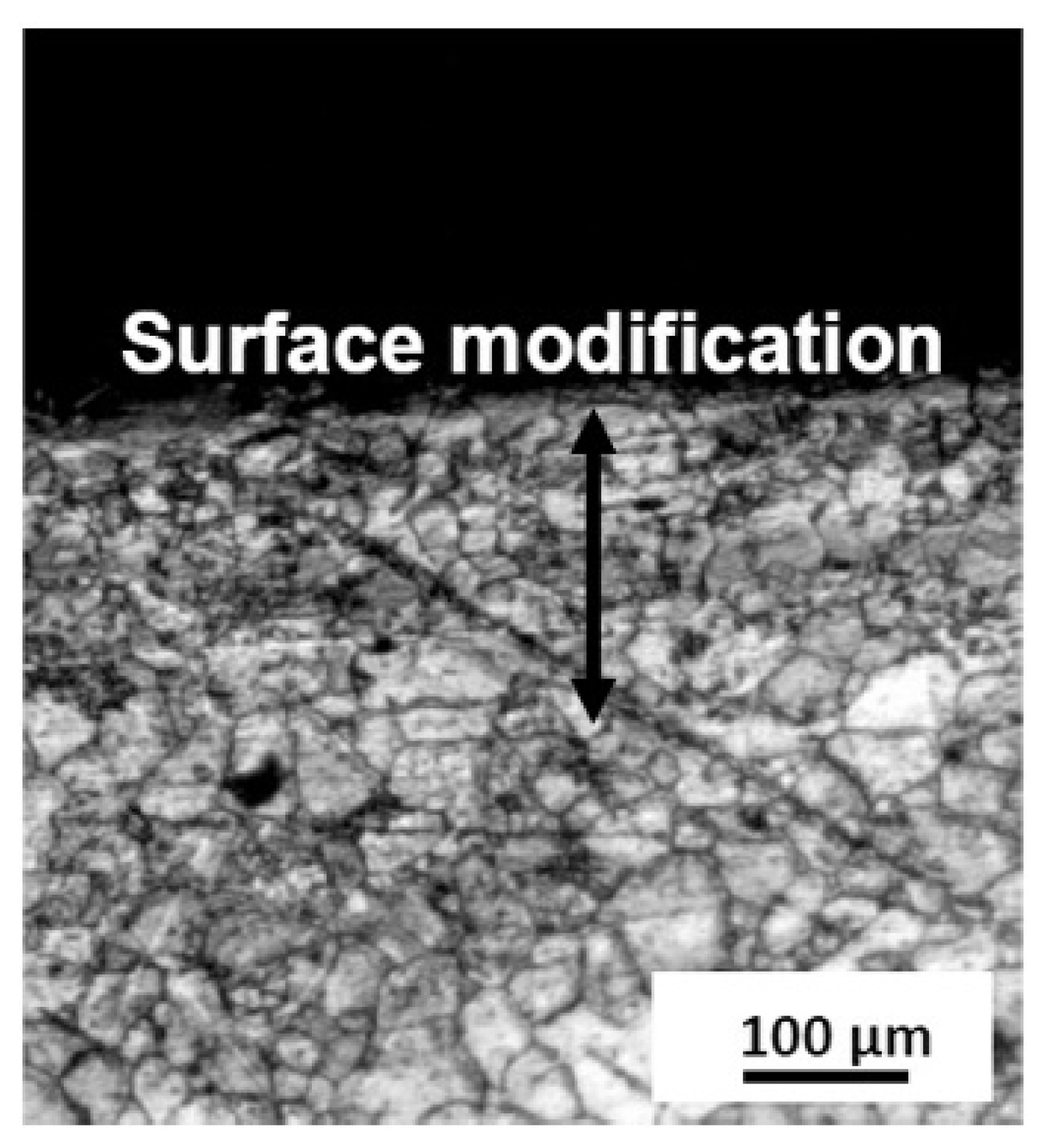 Metals 13 00397 g002