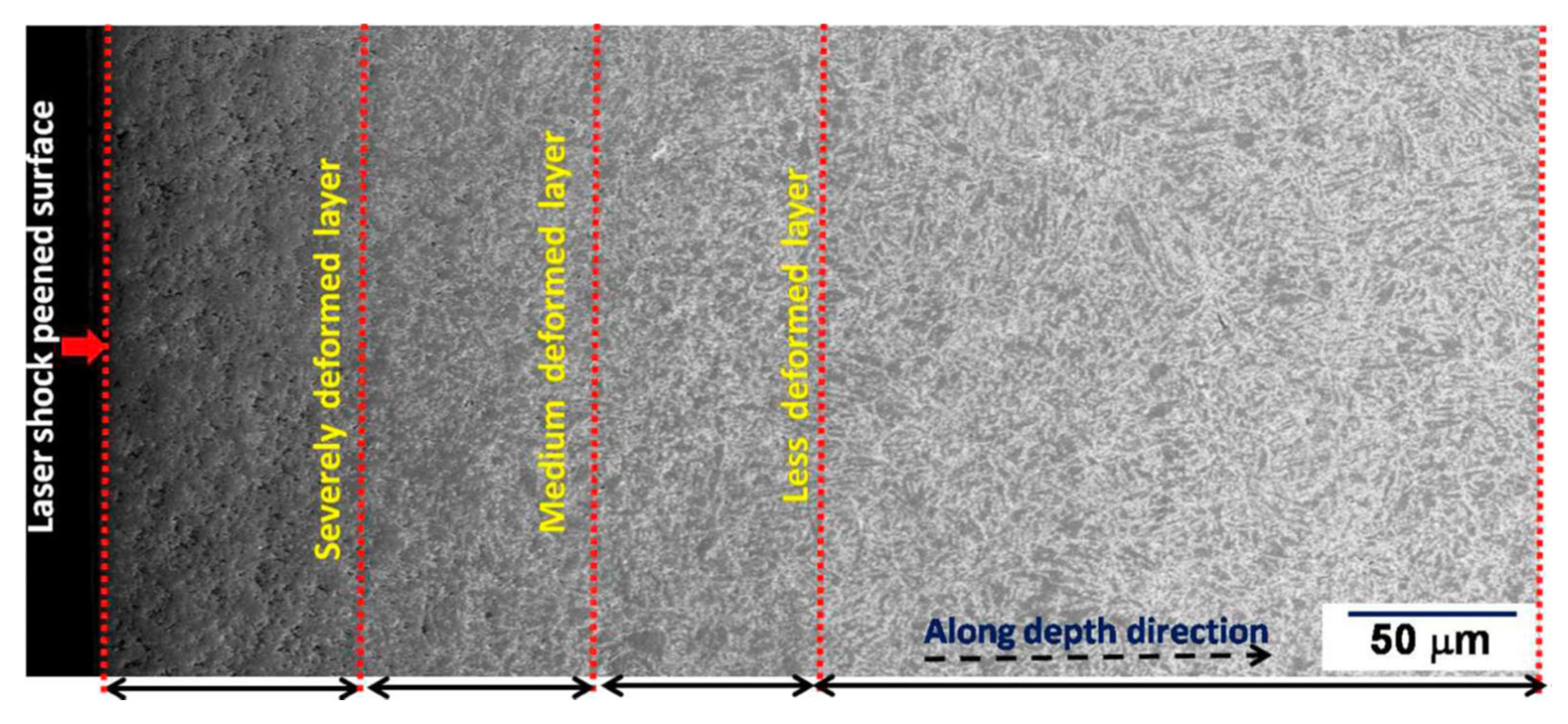 Metals 13 00397 g005