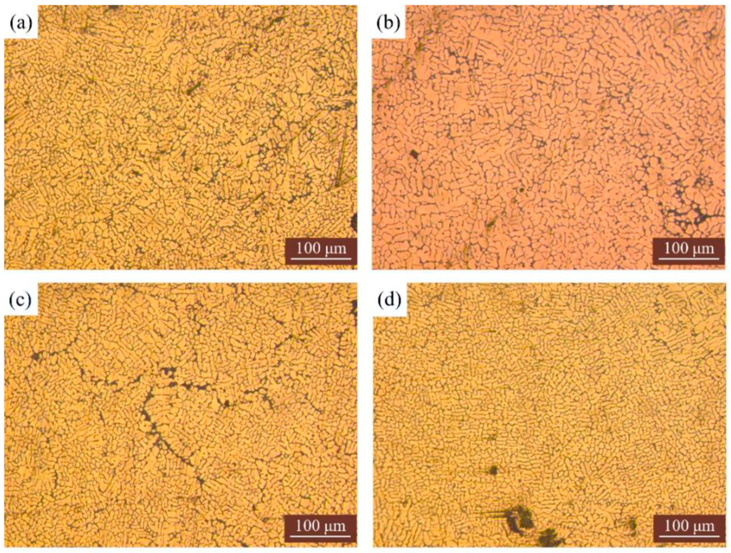 Metals 13 00398 g010