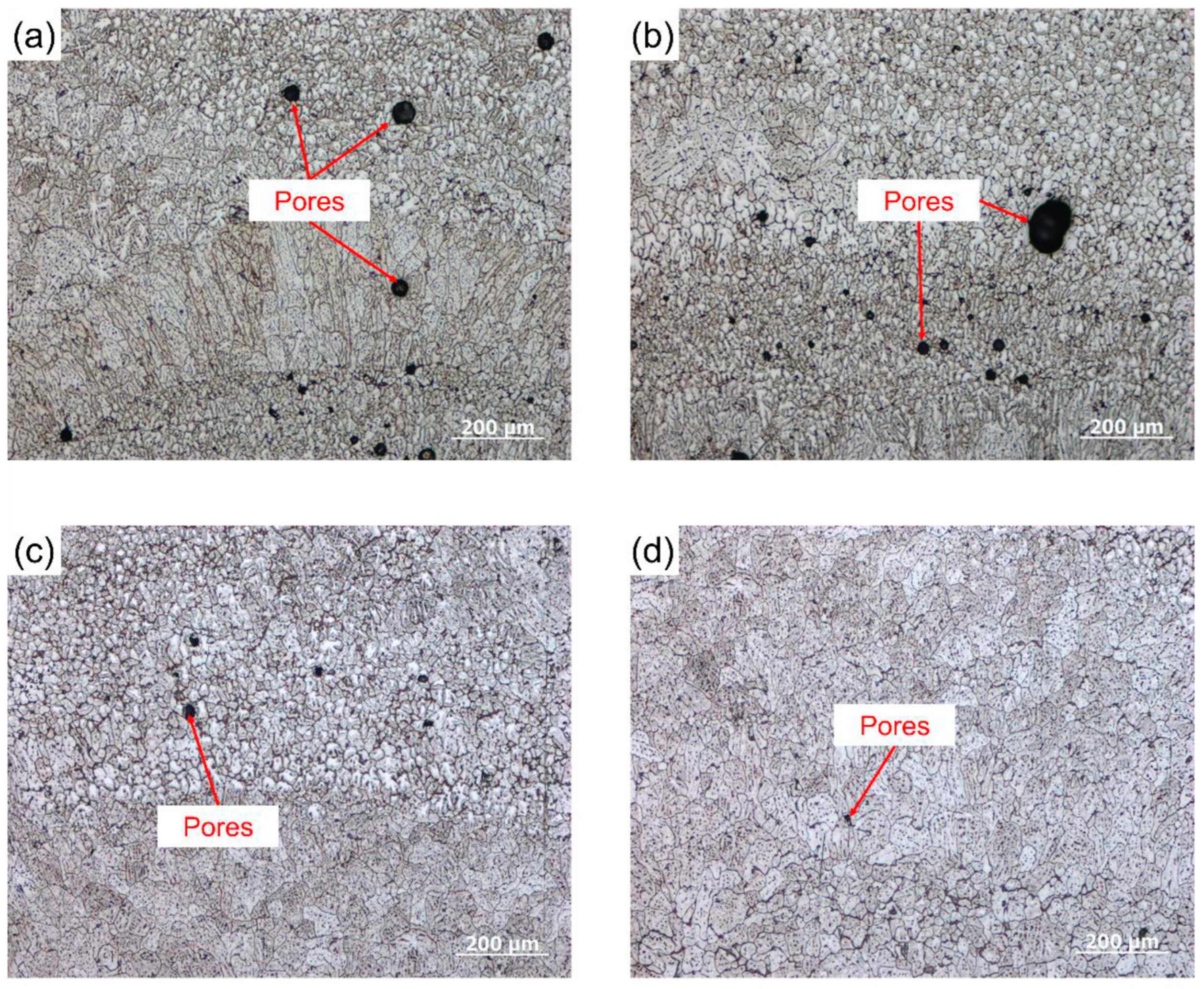 Metals 13 00398 g011