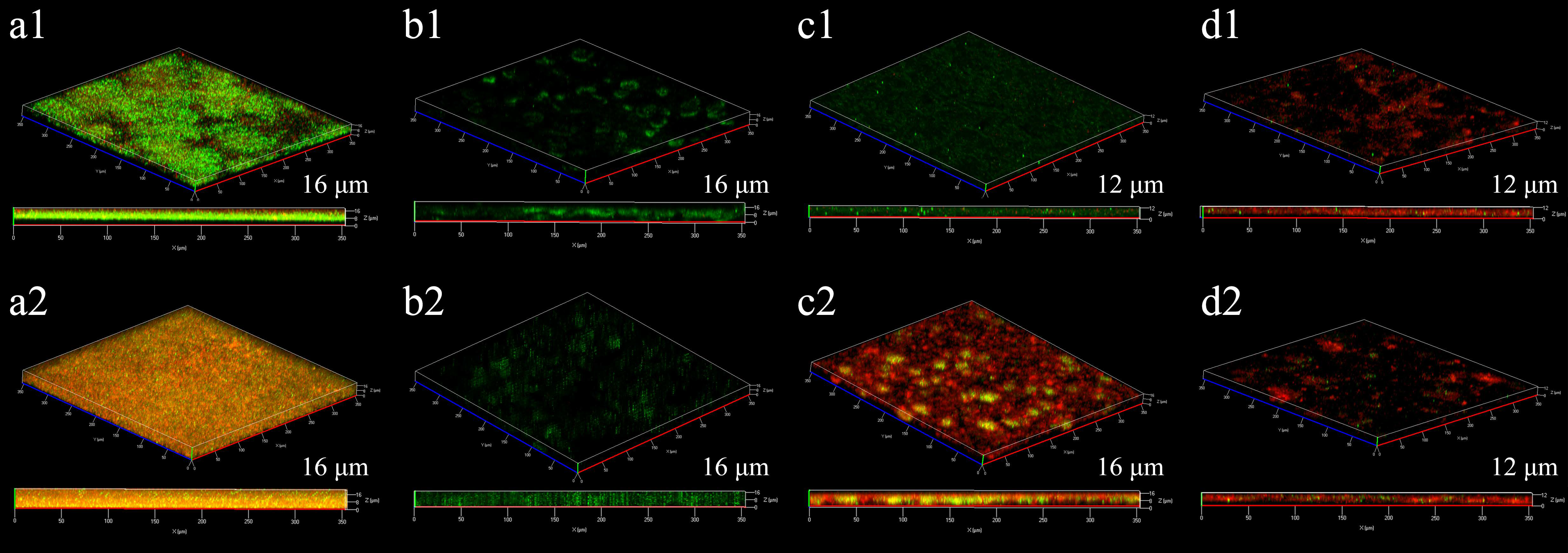 Metals 13 00413 g002