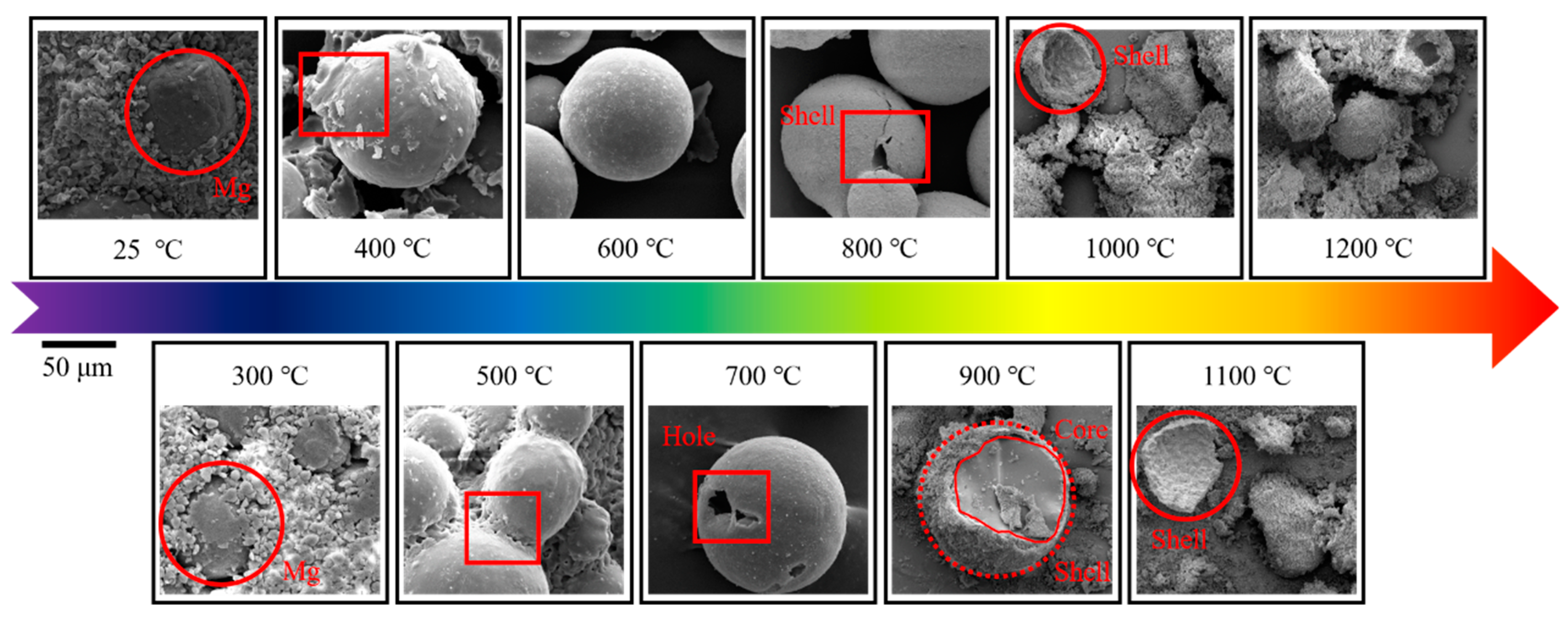 Metals 13 00417 g006