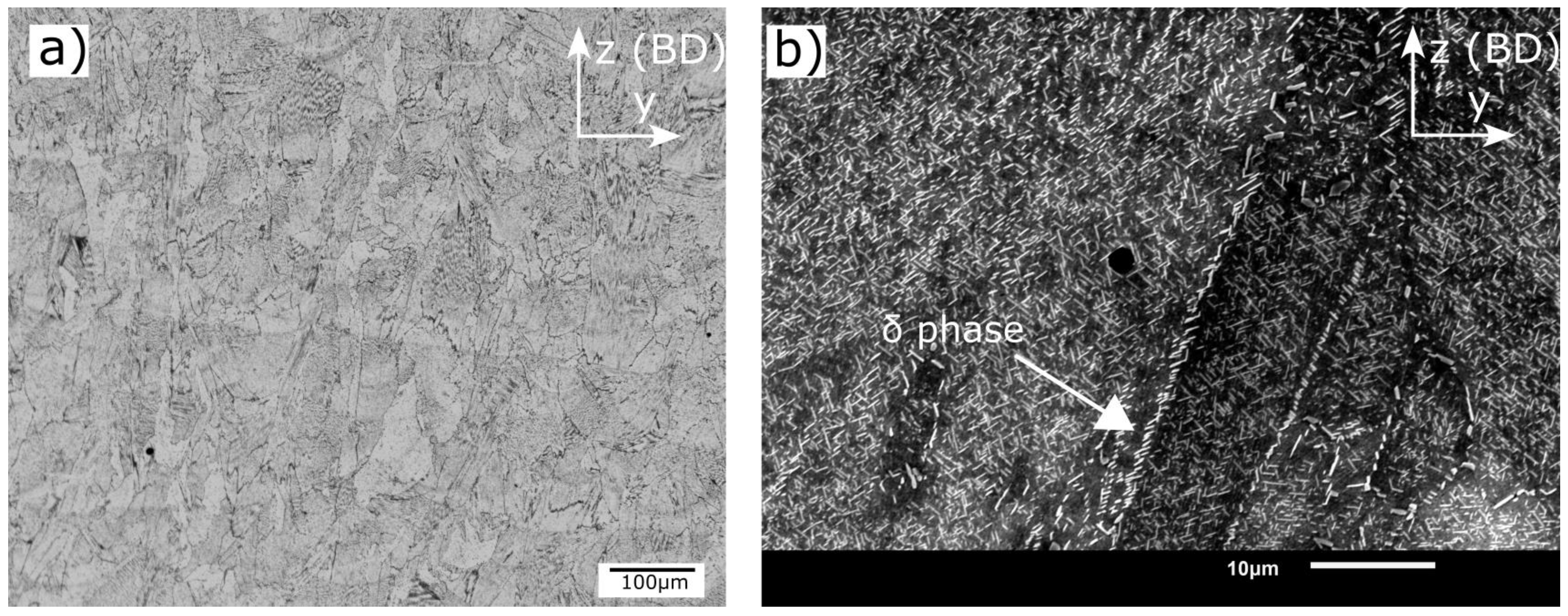 Metals 13 00418 g006