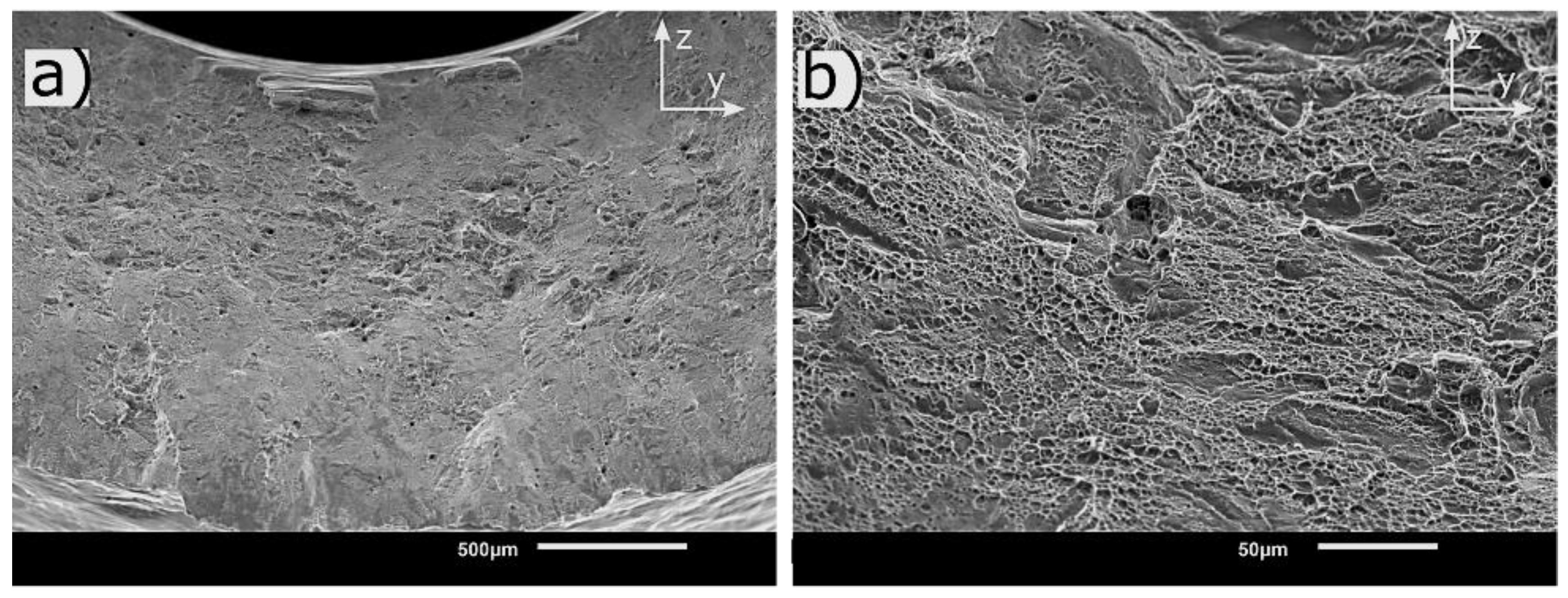 Metals 13 00418 g013