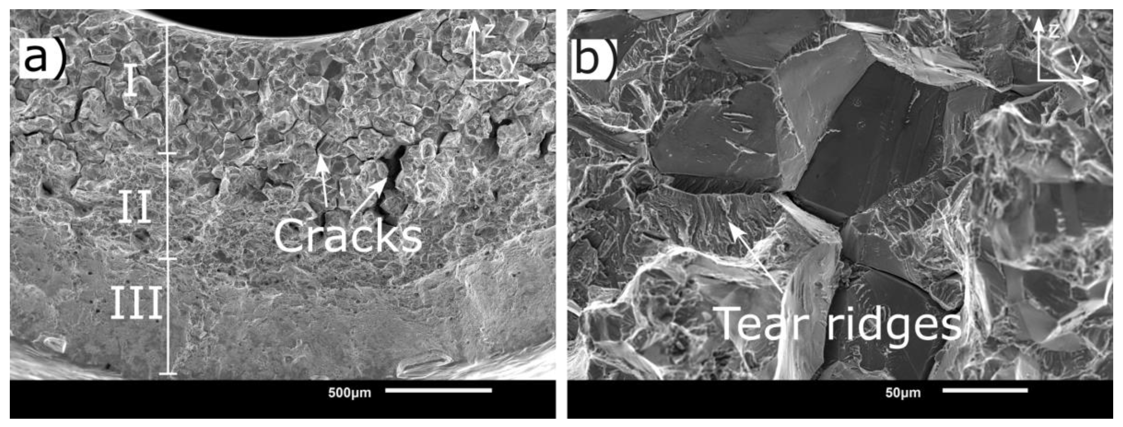 Metals 13 00418 g015