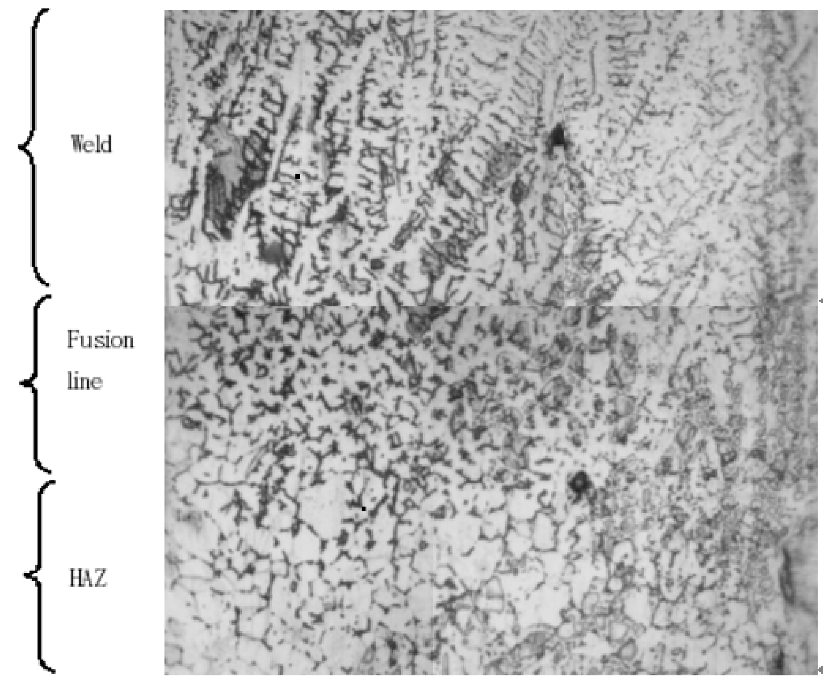 Metals 13 00423 g005