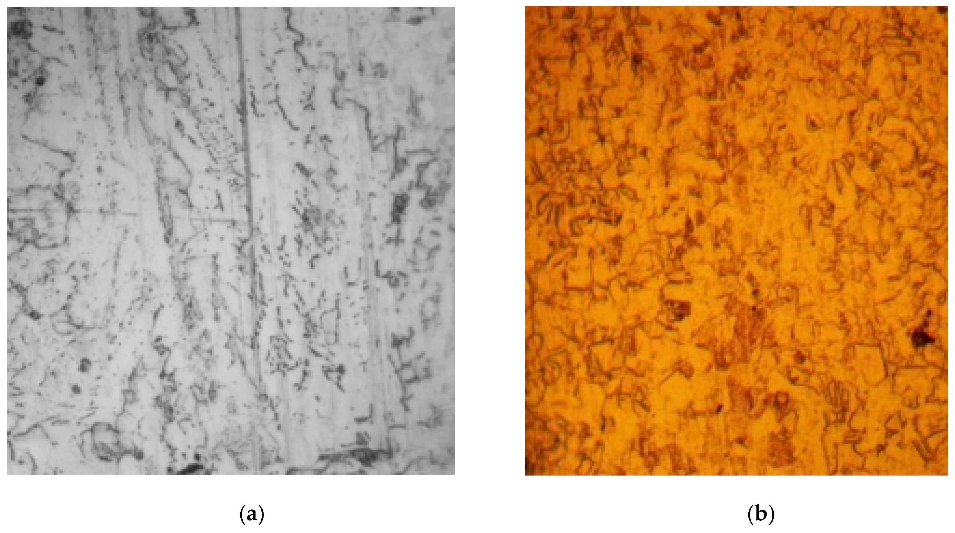 Metals 13 00423 g006