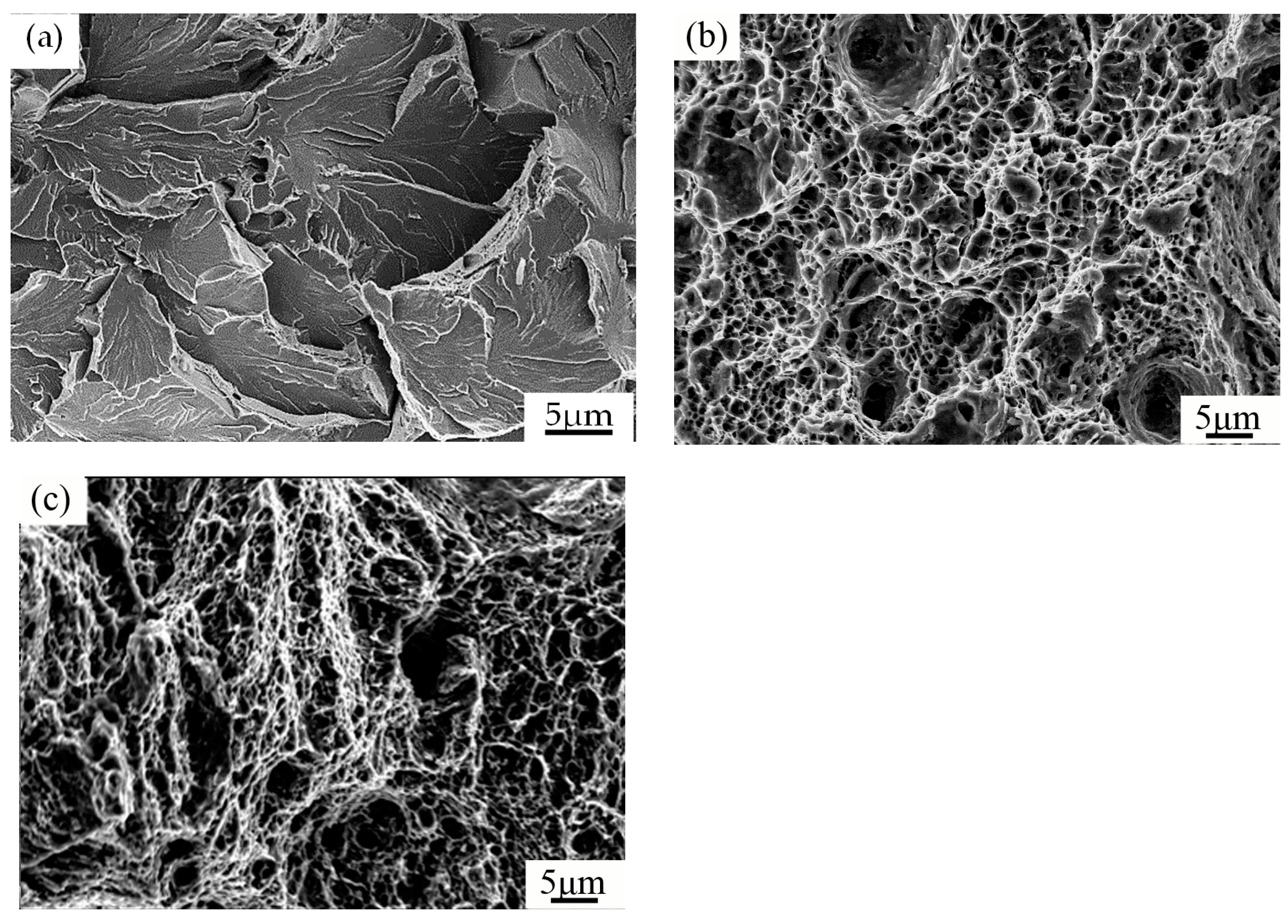 Metals 13 00427 g006