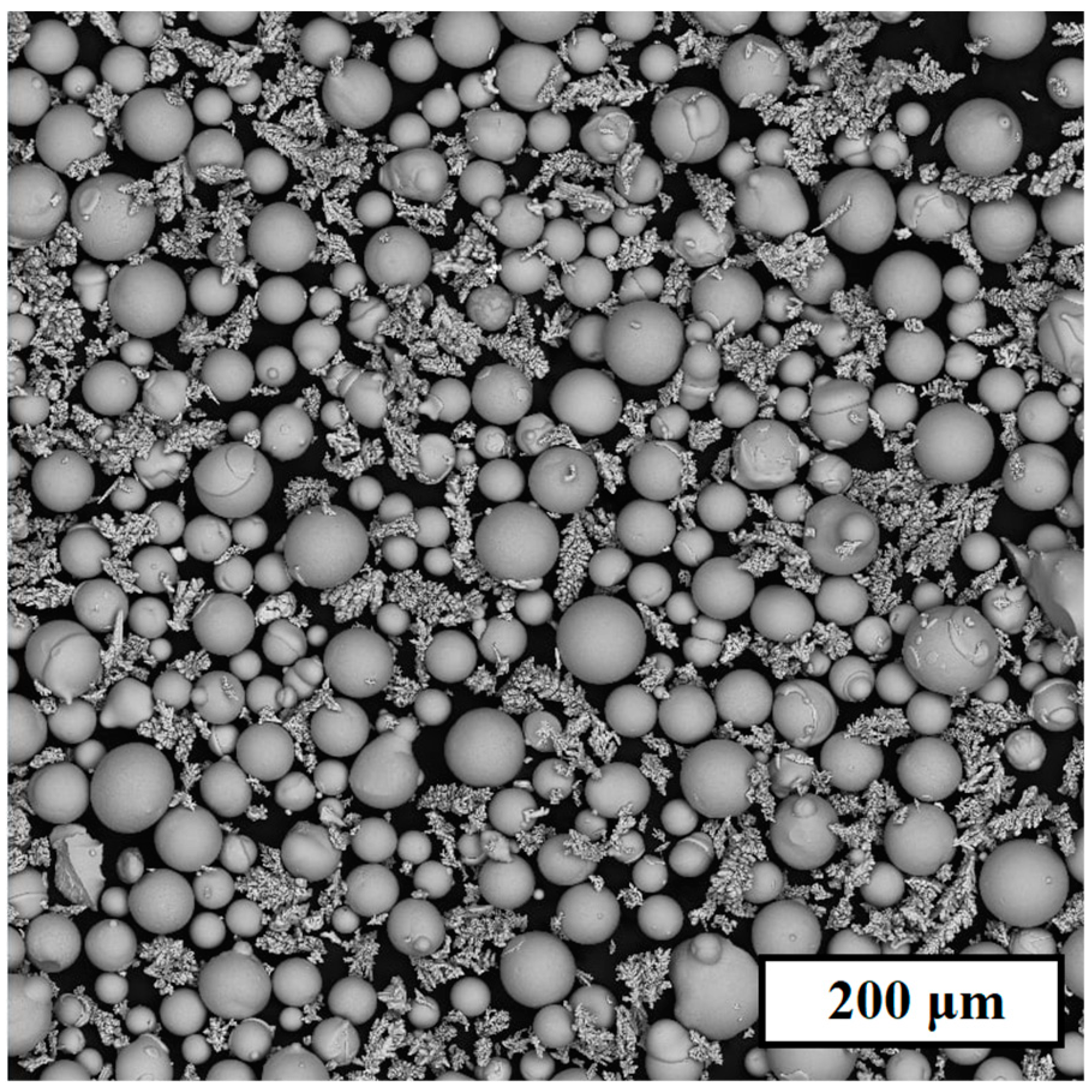 Metals 13 00428 g001