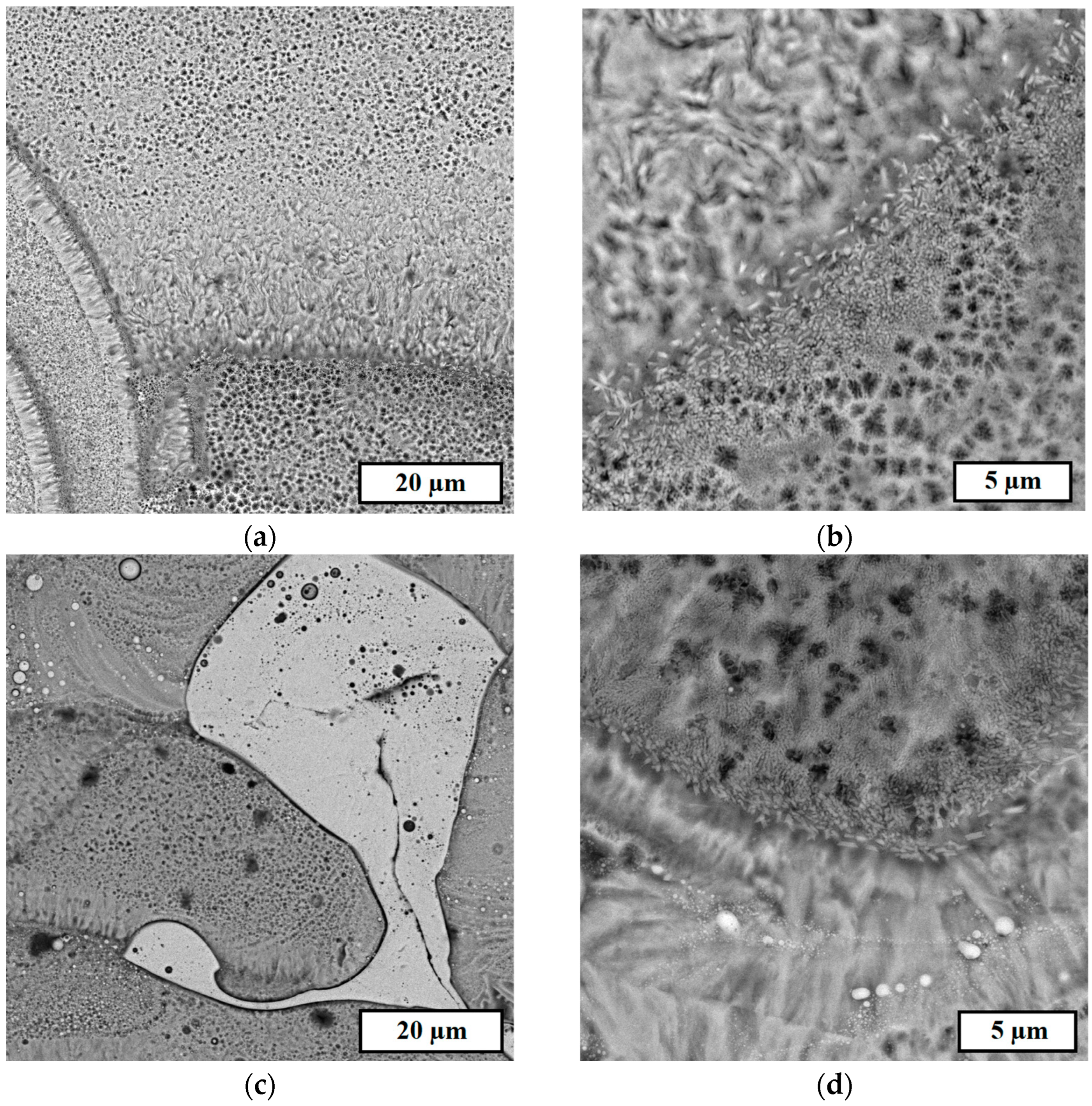 Metals 13 00428 g007a