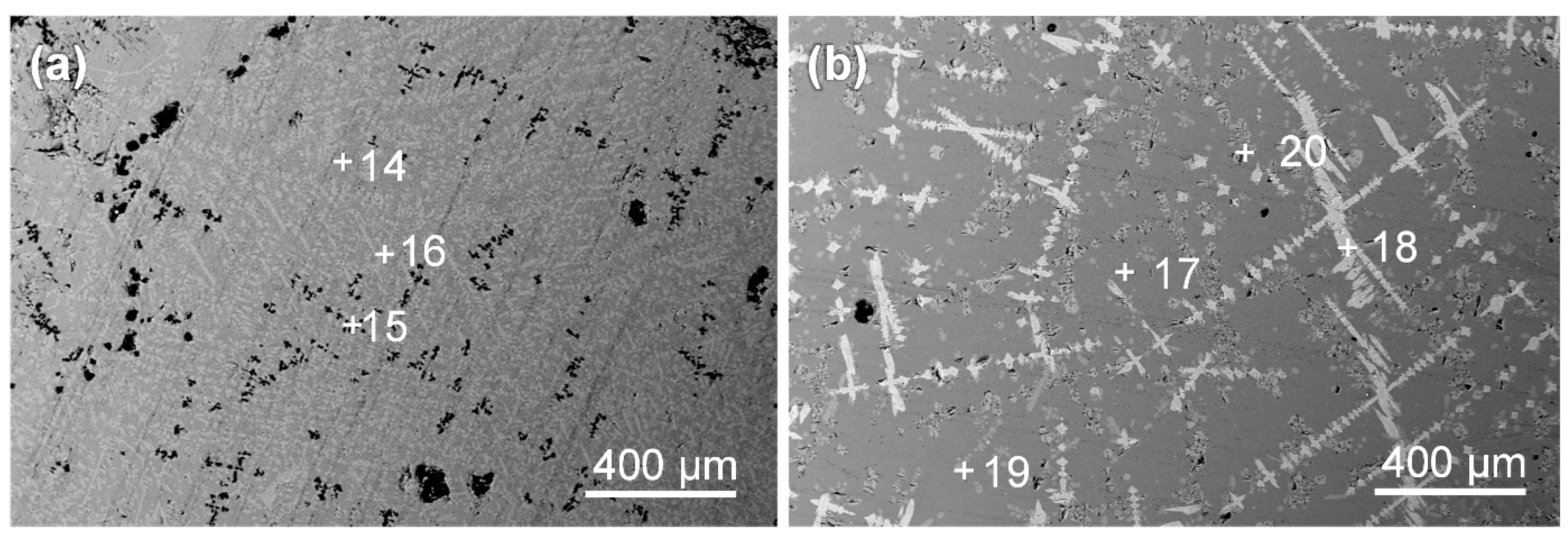 Metals 13 00431 g010 Metals 13 00431 g010