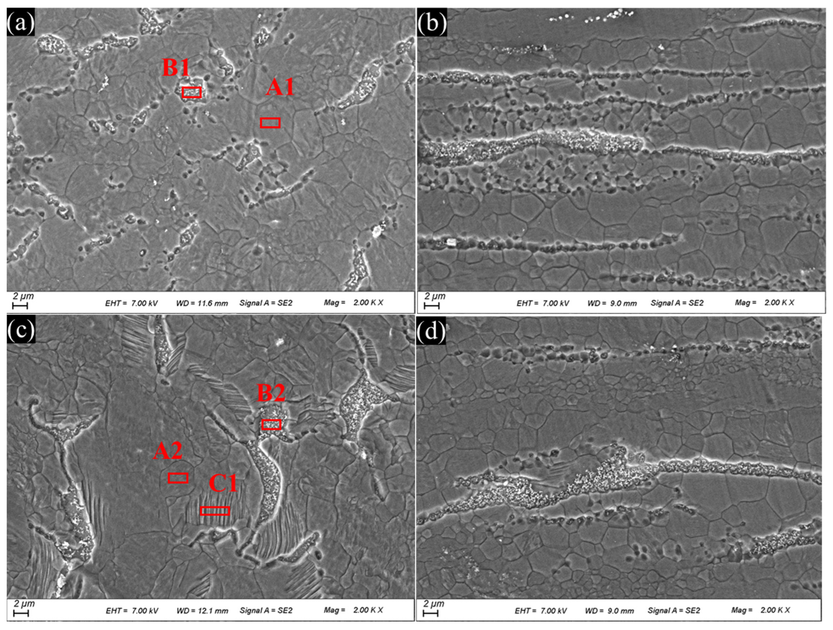 Metals 13 00446 g002