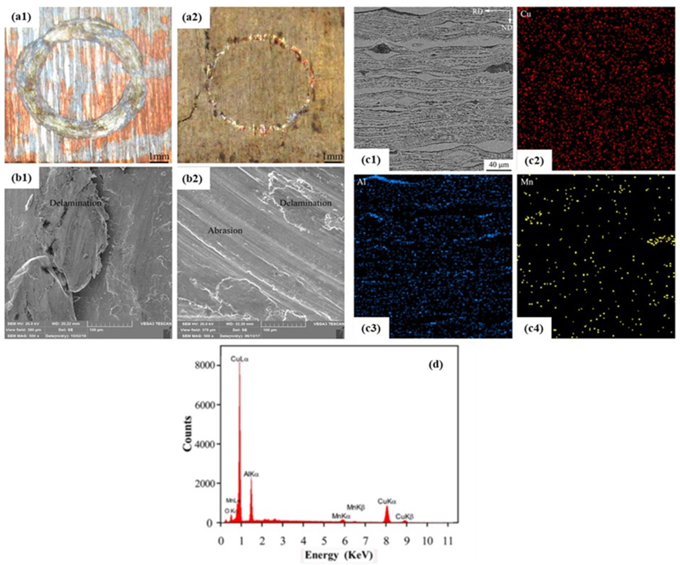Metals 13 00447 g015