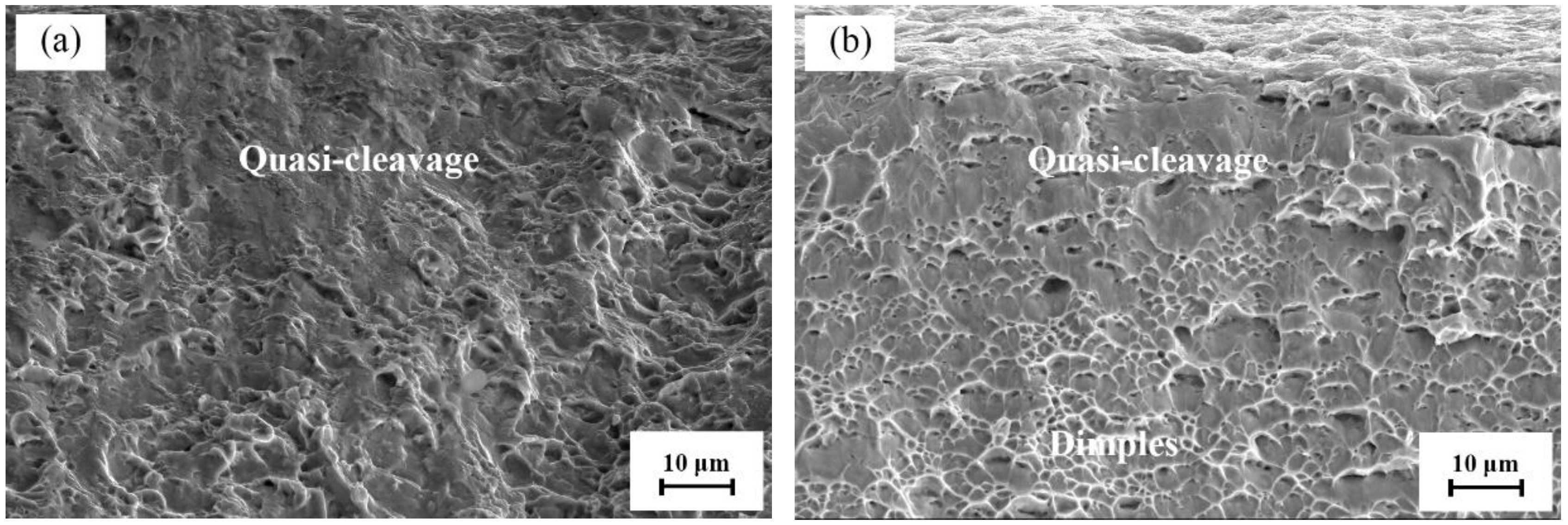 Metals 13 00449 g013