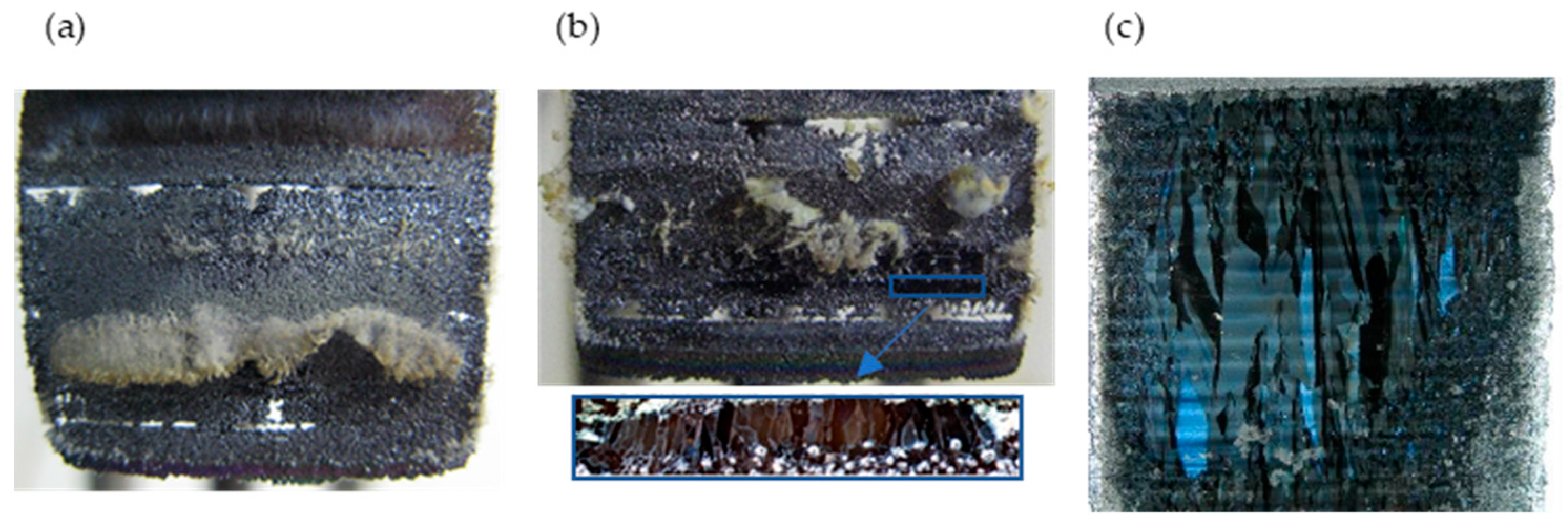 Metals 13 00452 g006