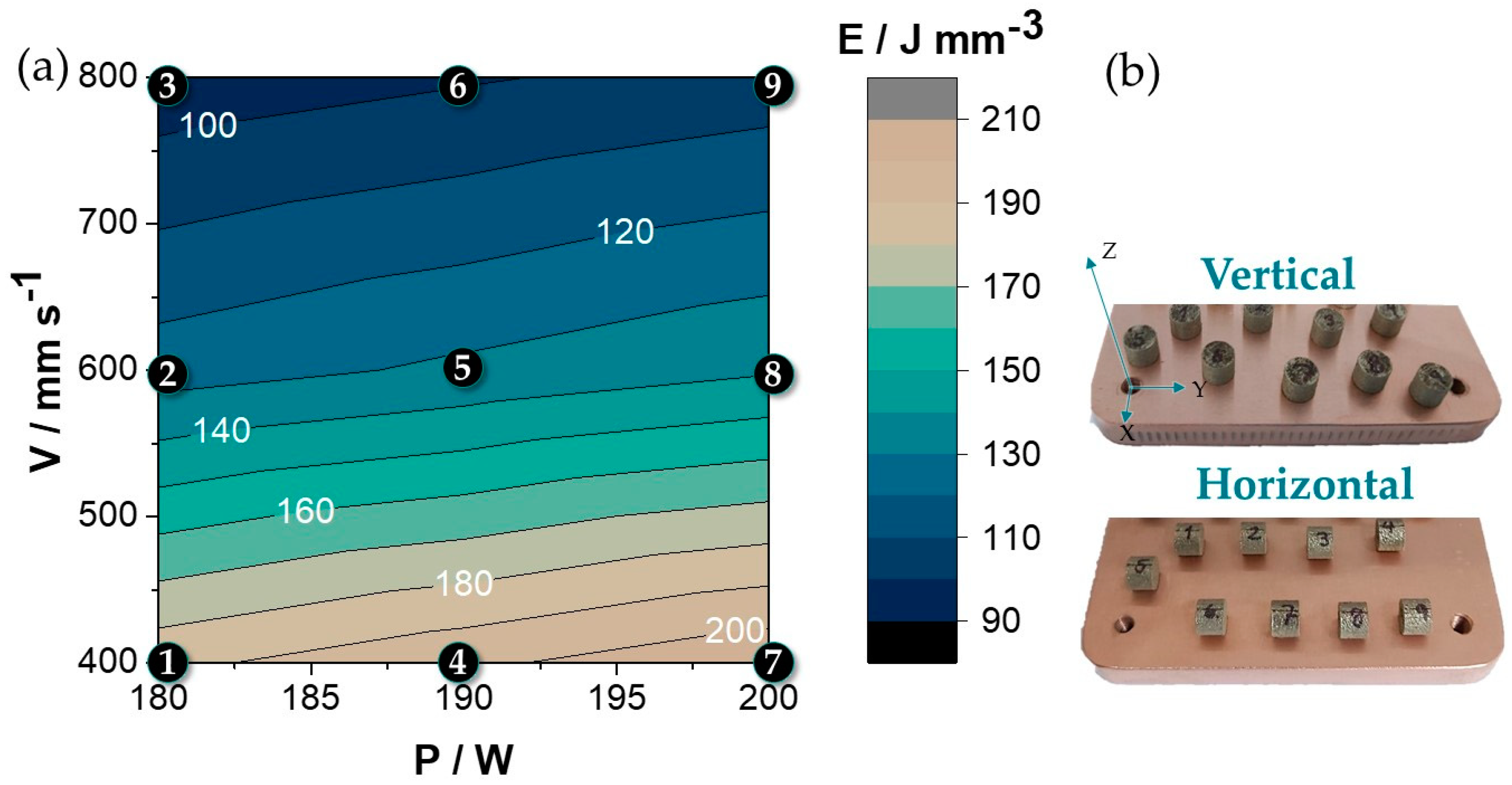 Metals 13 00459 g001