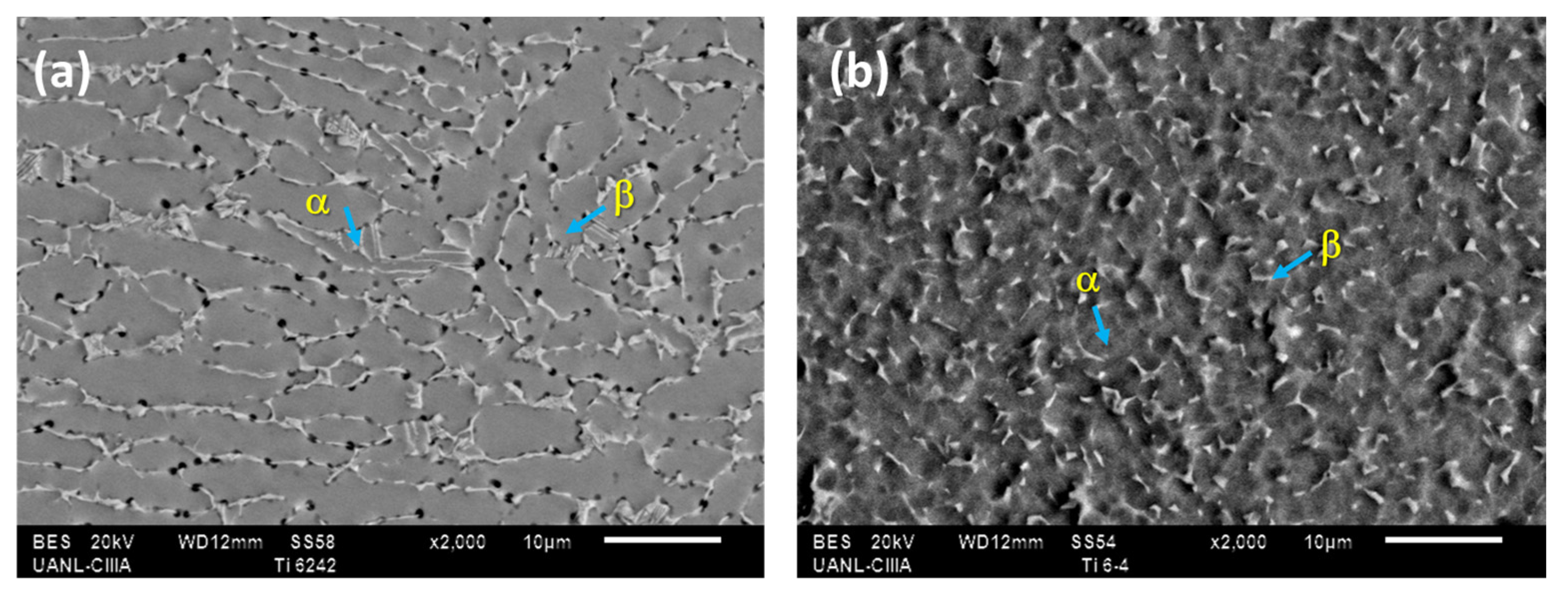 Metals 13 00476 g001