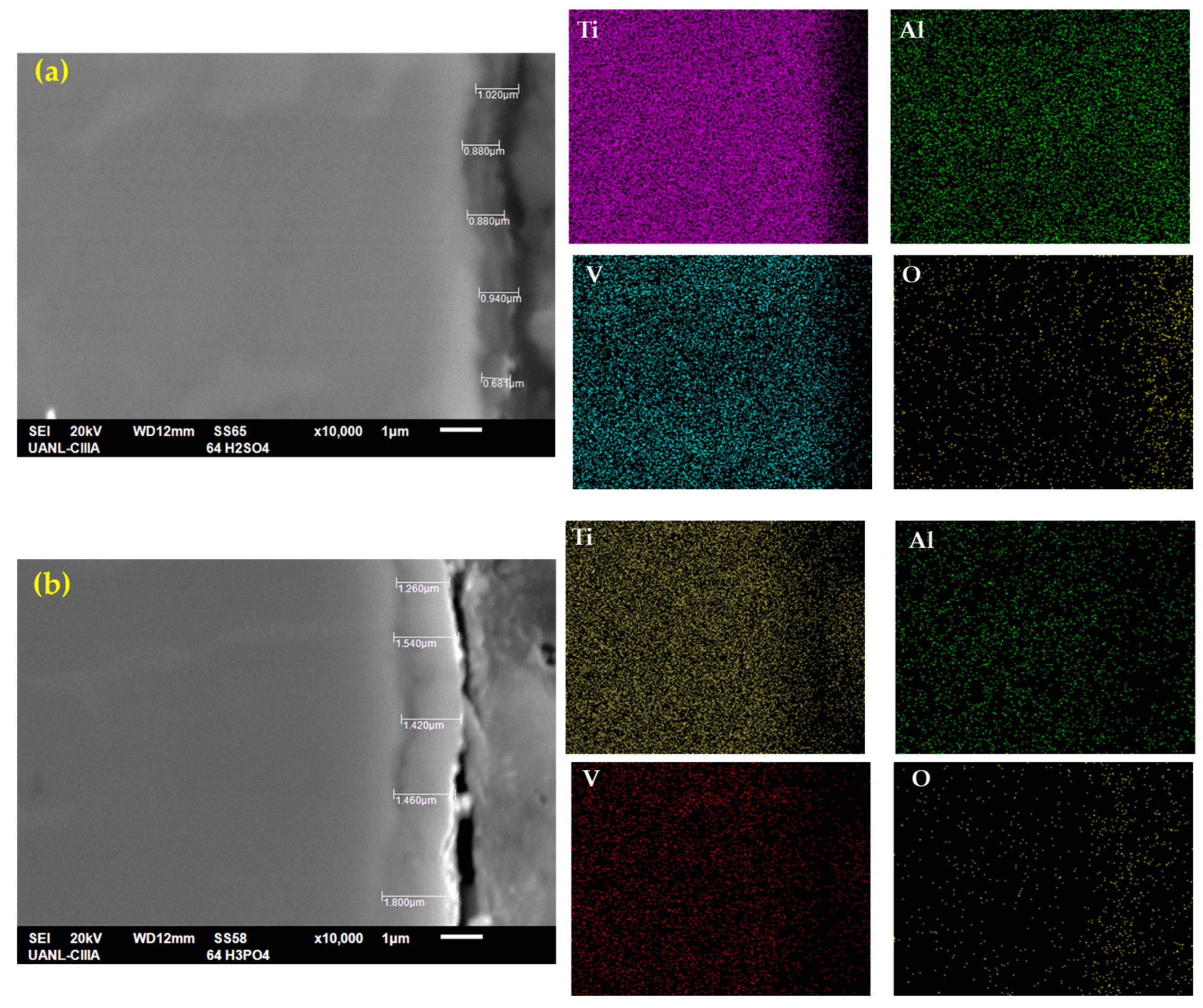 Metals 13 00476 g004