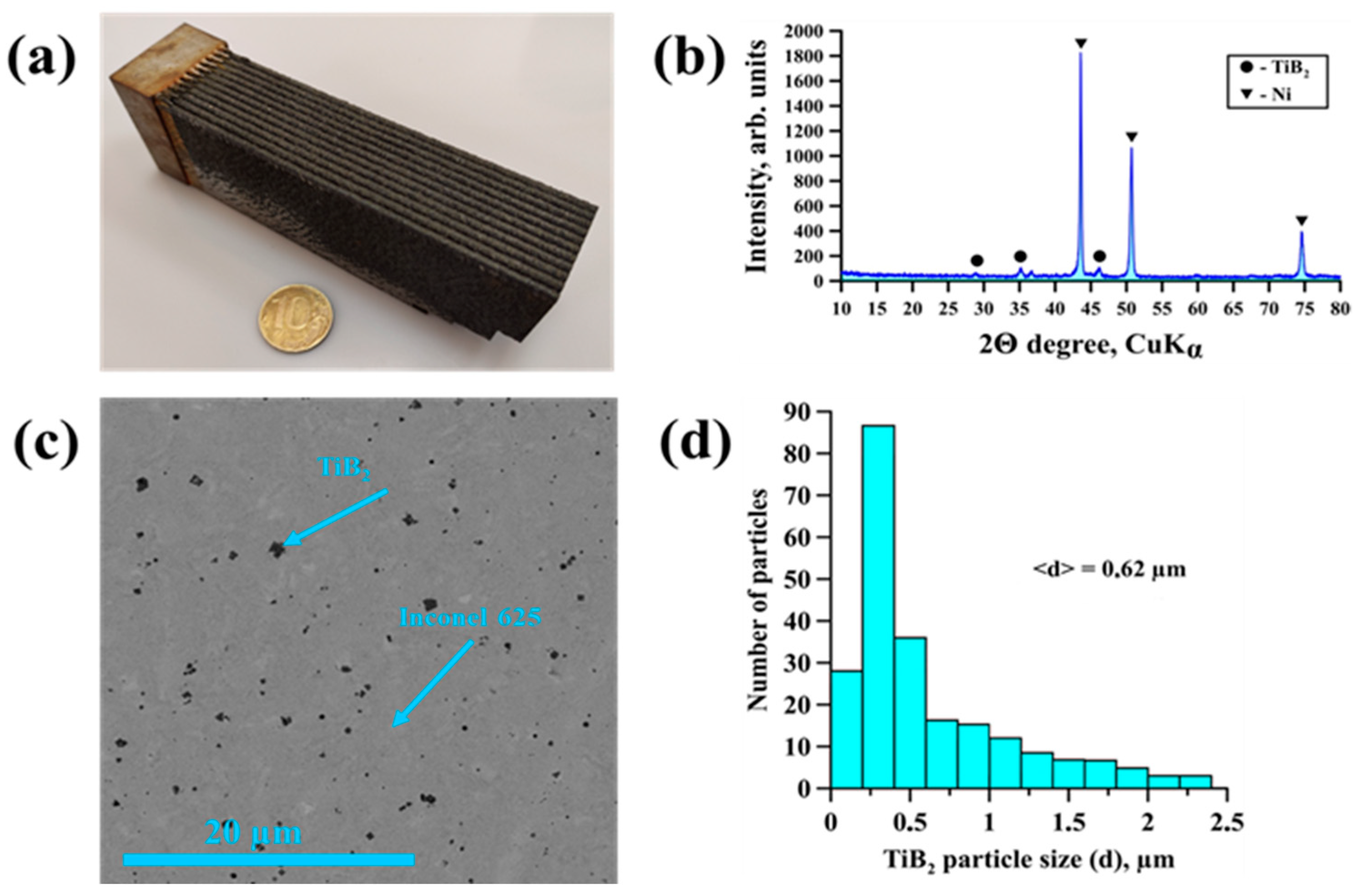 Metals 13 00477 g001
