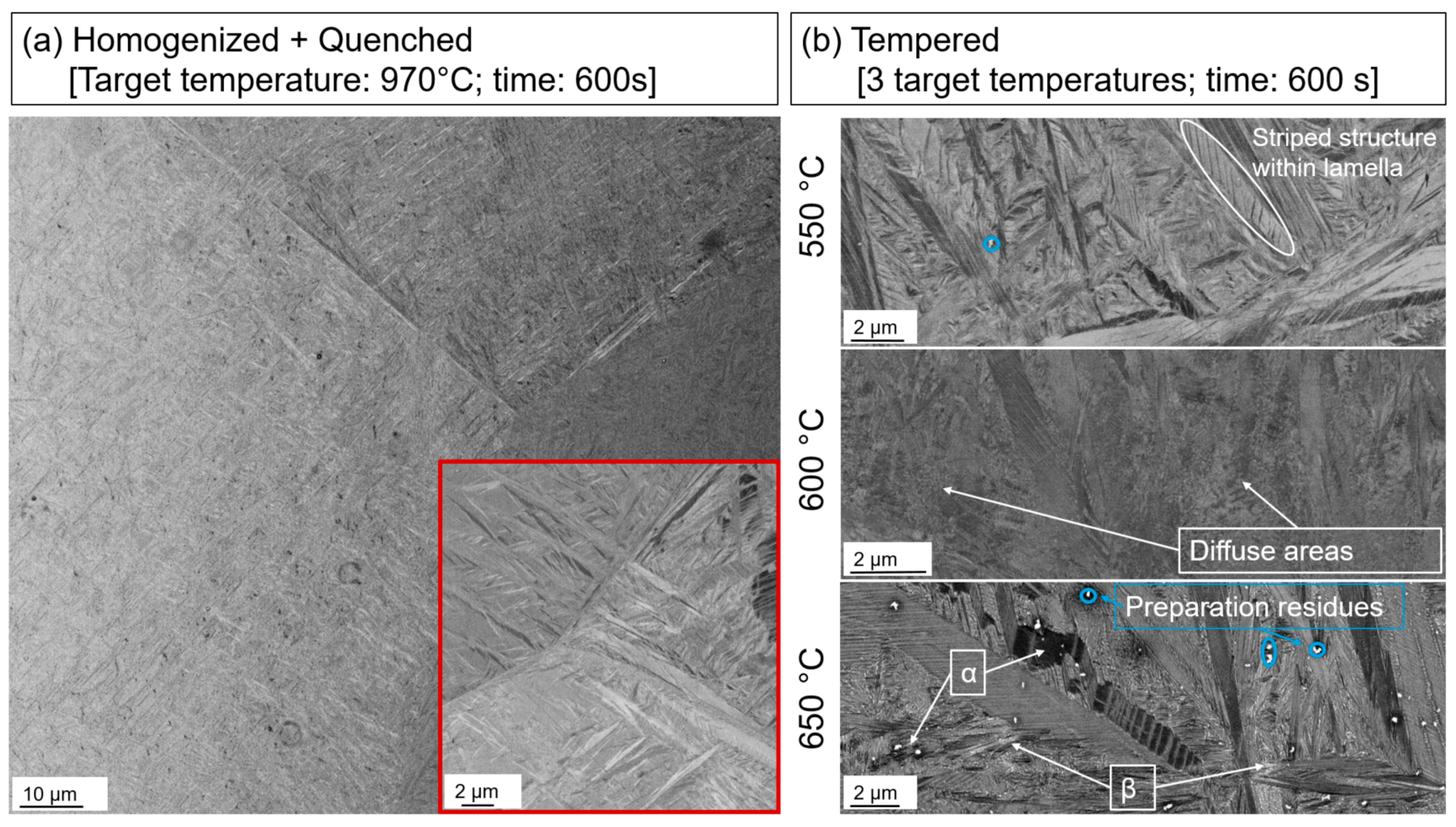 Metals 13 00484 g004