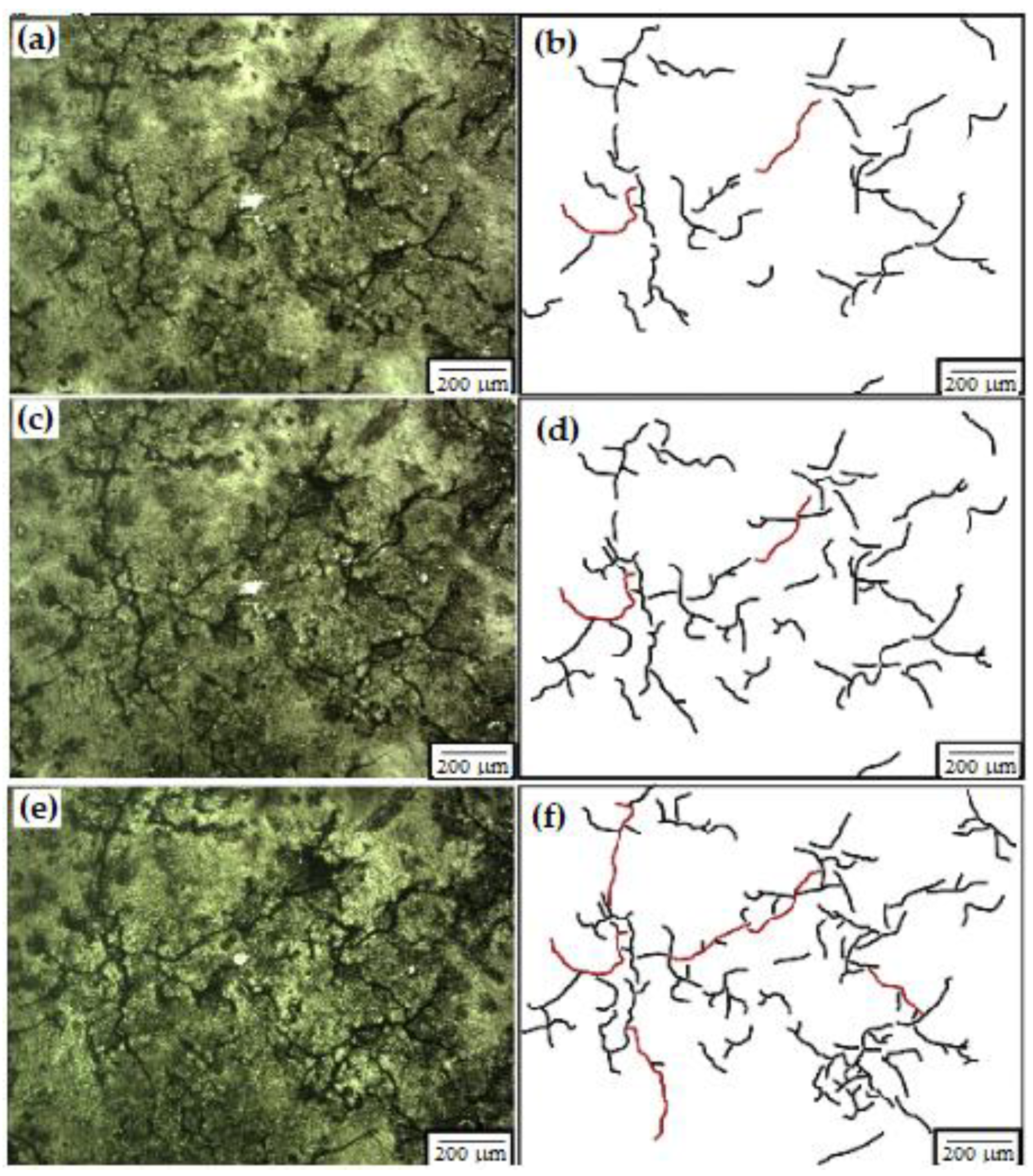 Metals 13 00487 g009