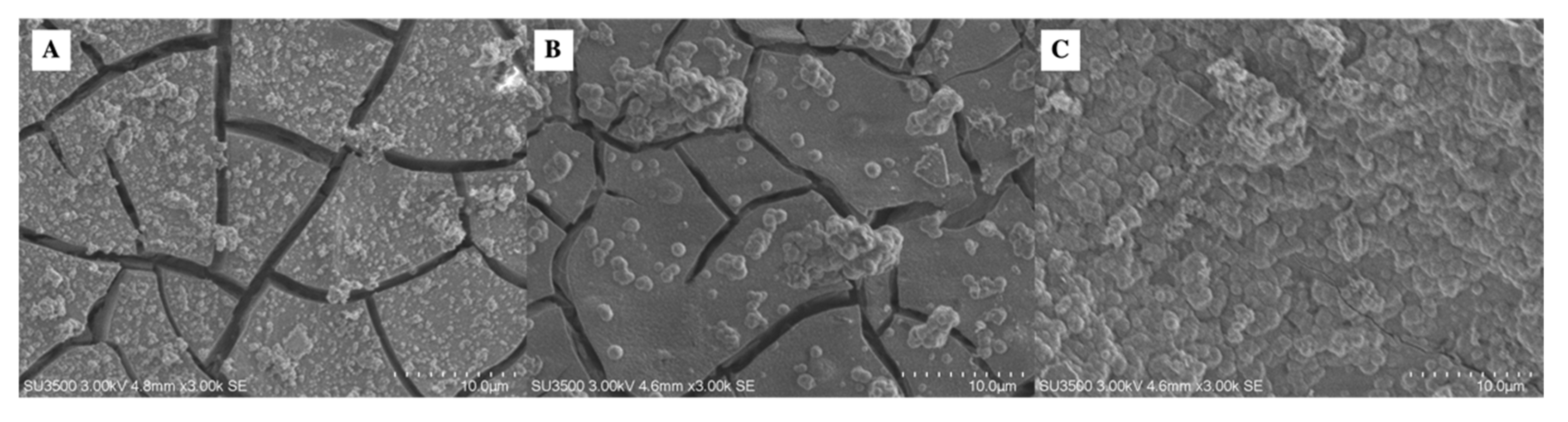 Metals 13 00494 g007