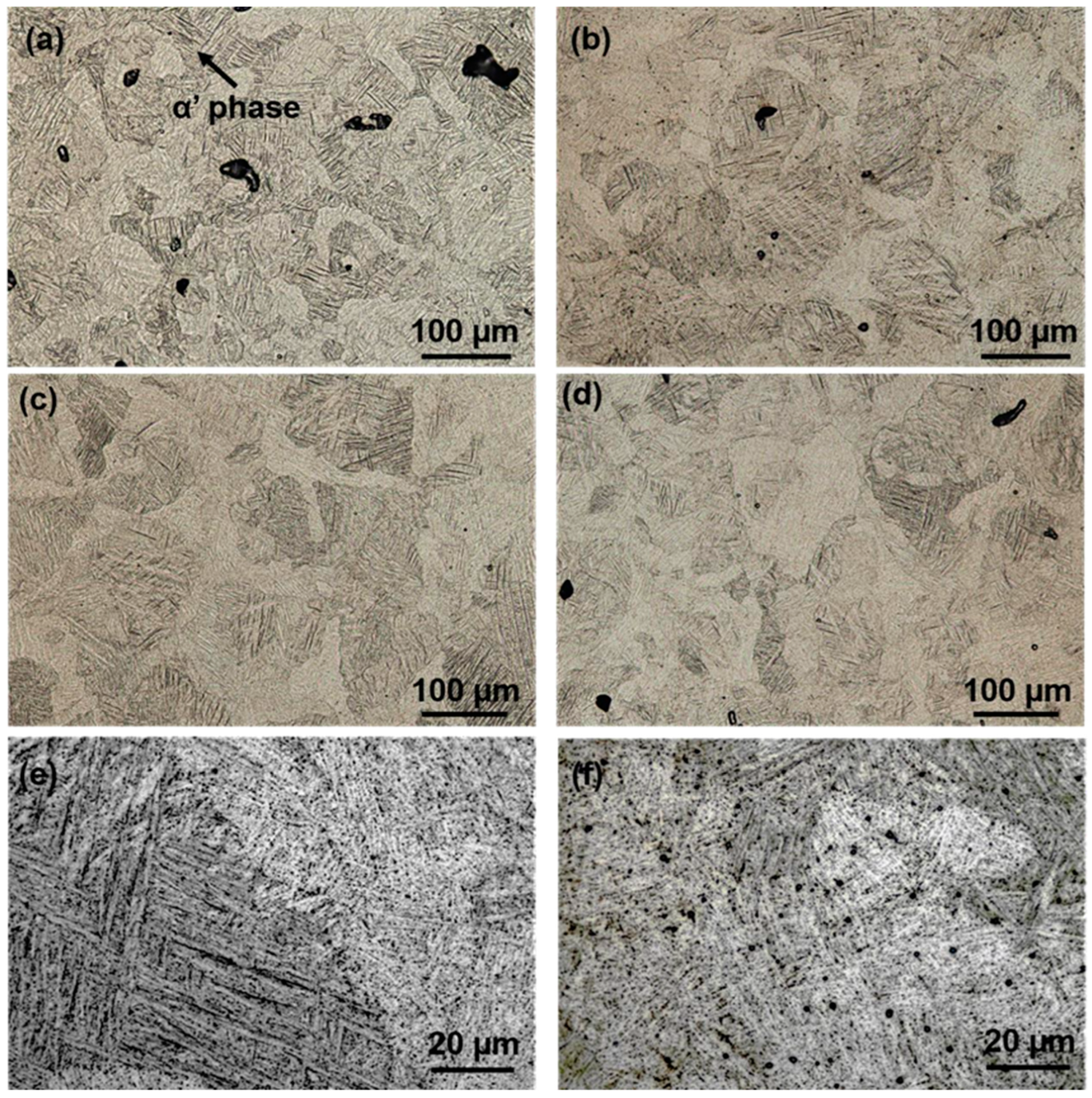 Metals 13 00496 g002