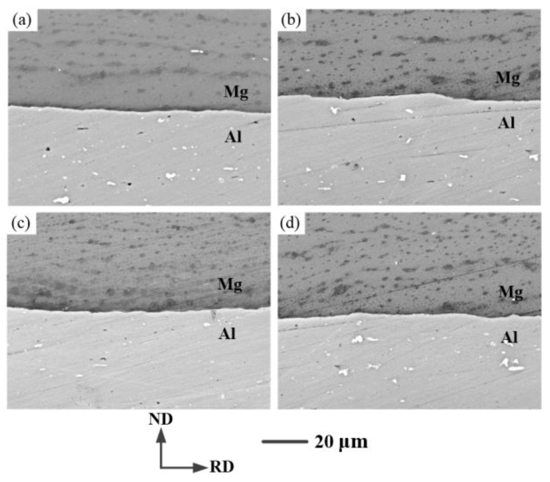 Metals 13 00503 g004