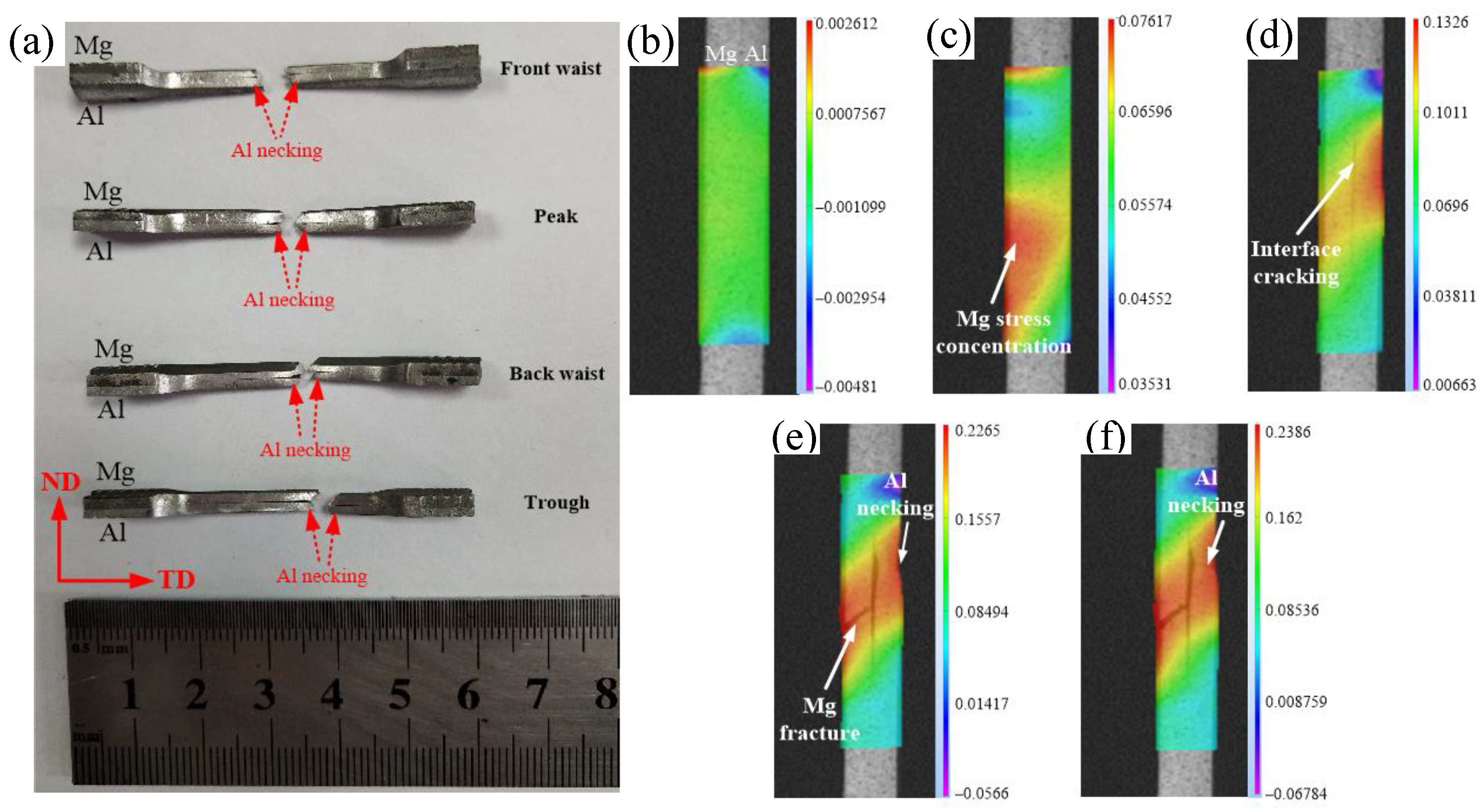 Metals 13 00503 g007