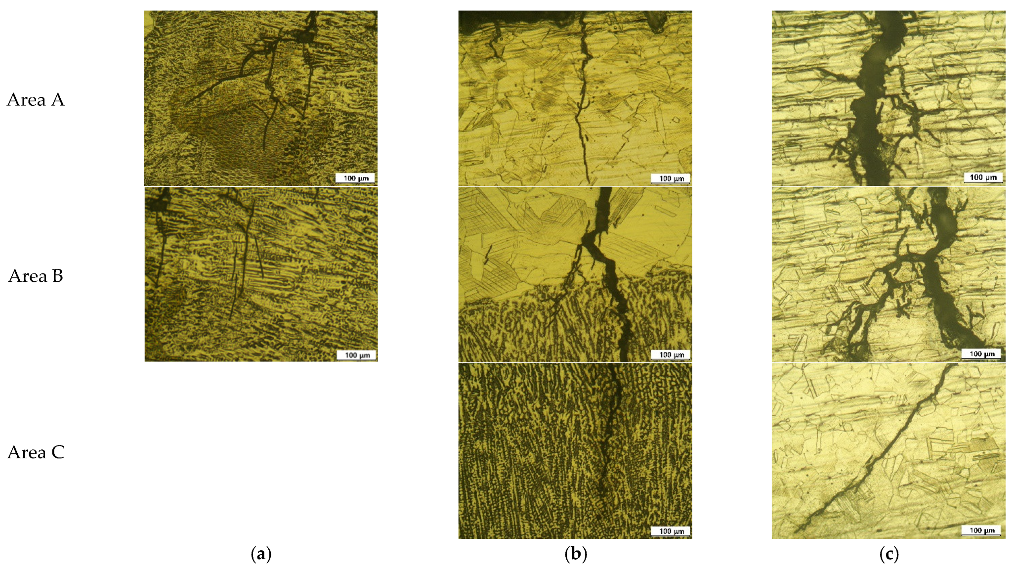 Metals 13 00516 g010